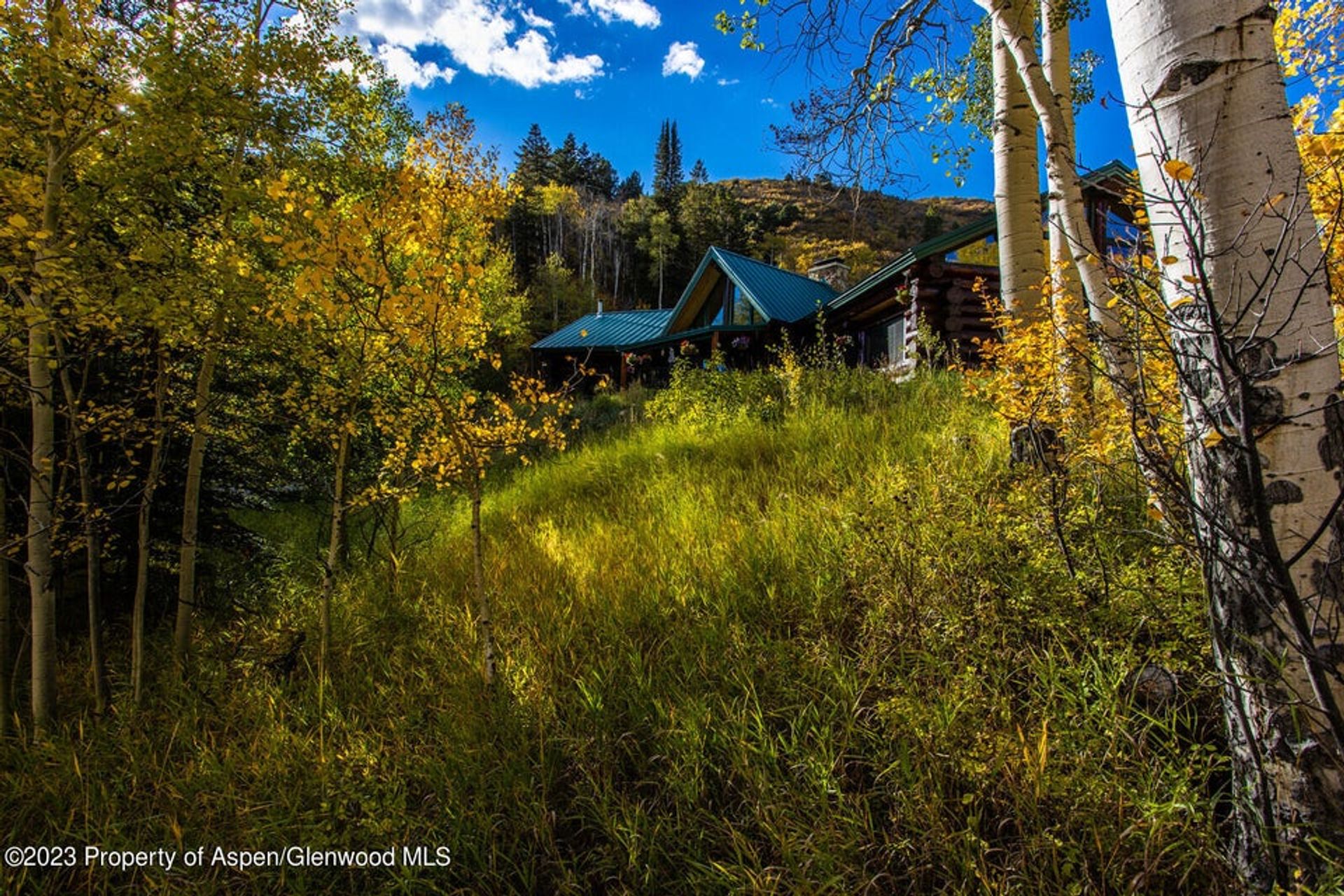 House in New Castle, Colorado 11850430