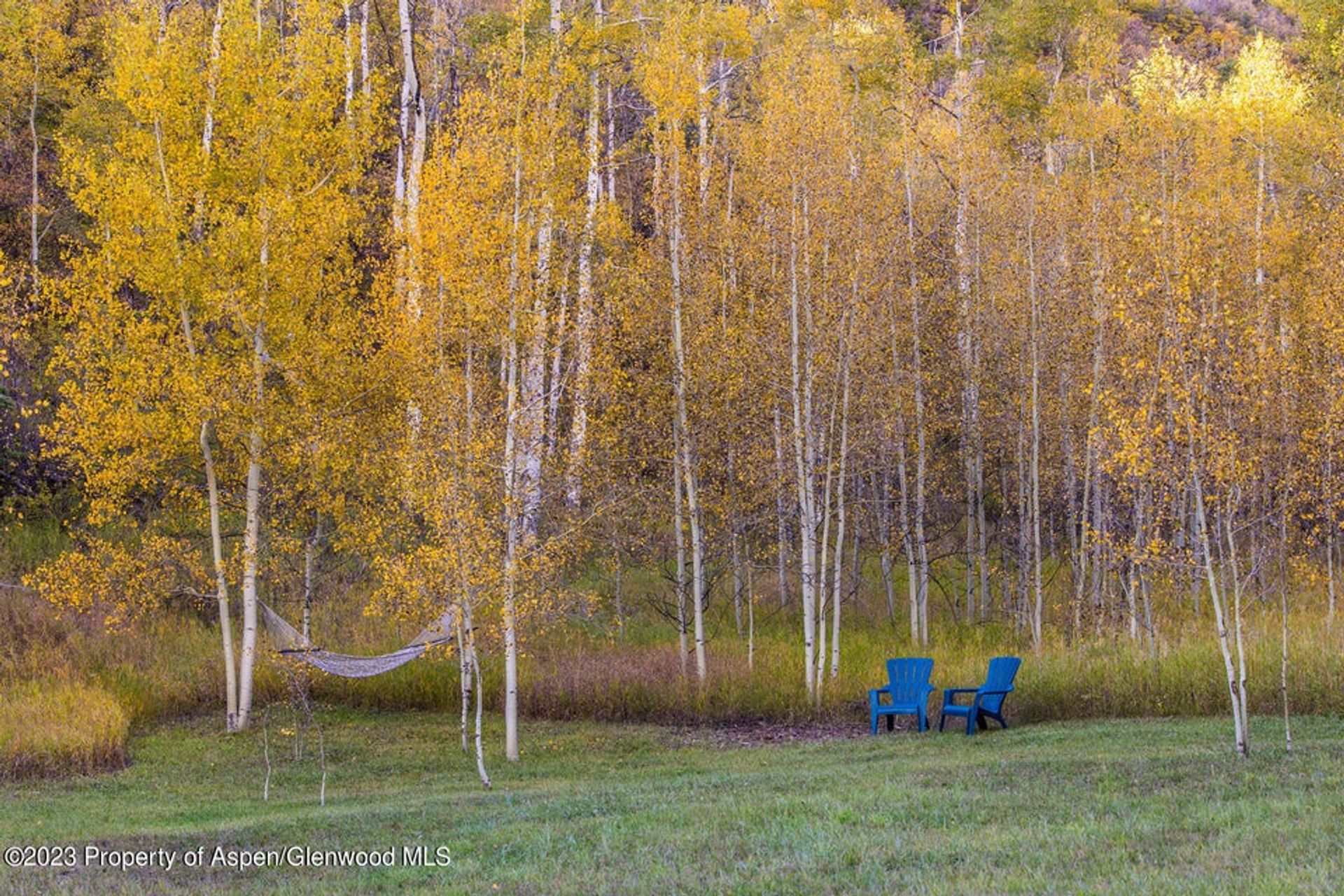 House in New Castle, Colorado 11850430