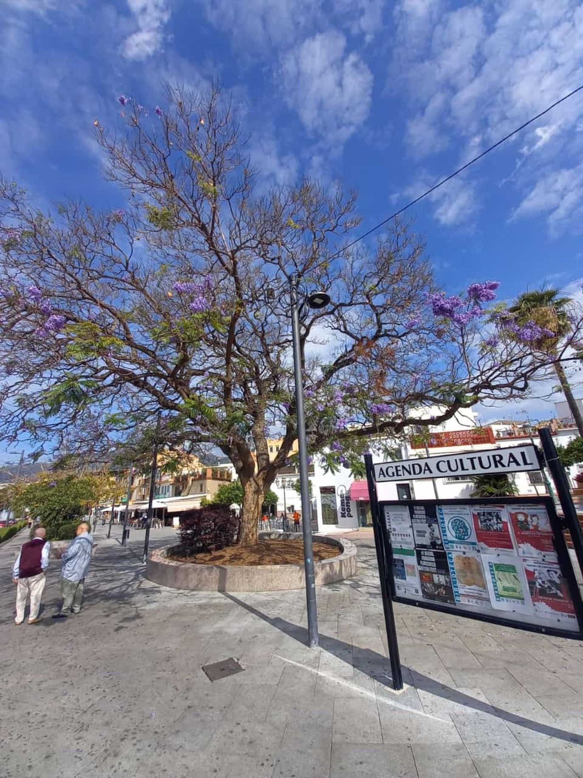 Condominium in Benalmádena, Andalusië 11850542