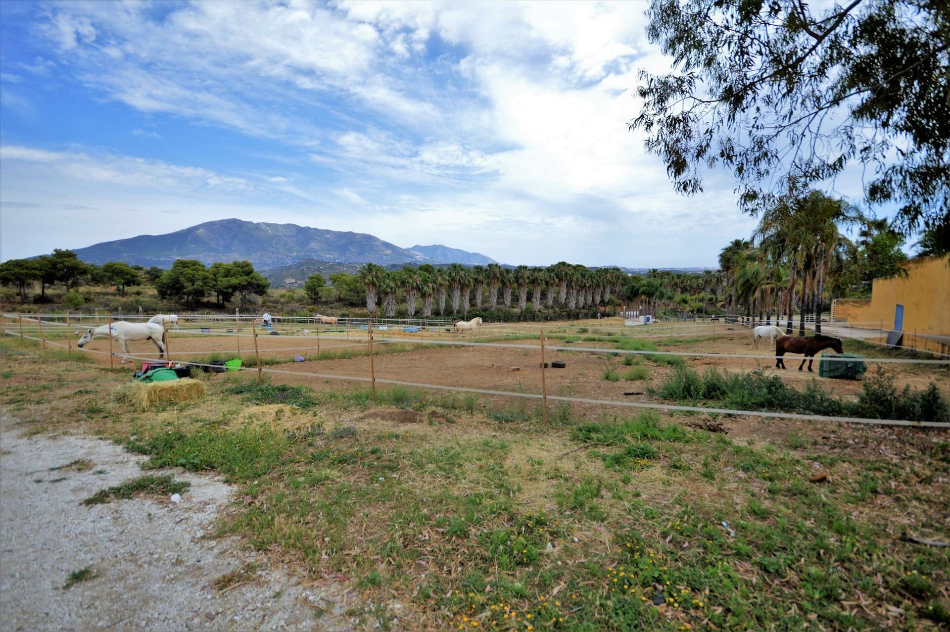 Rumah di Mijas, Andalucía 11850552