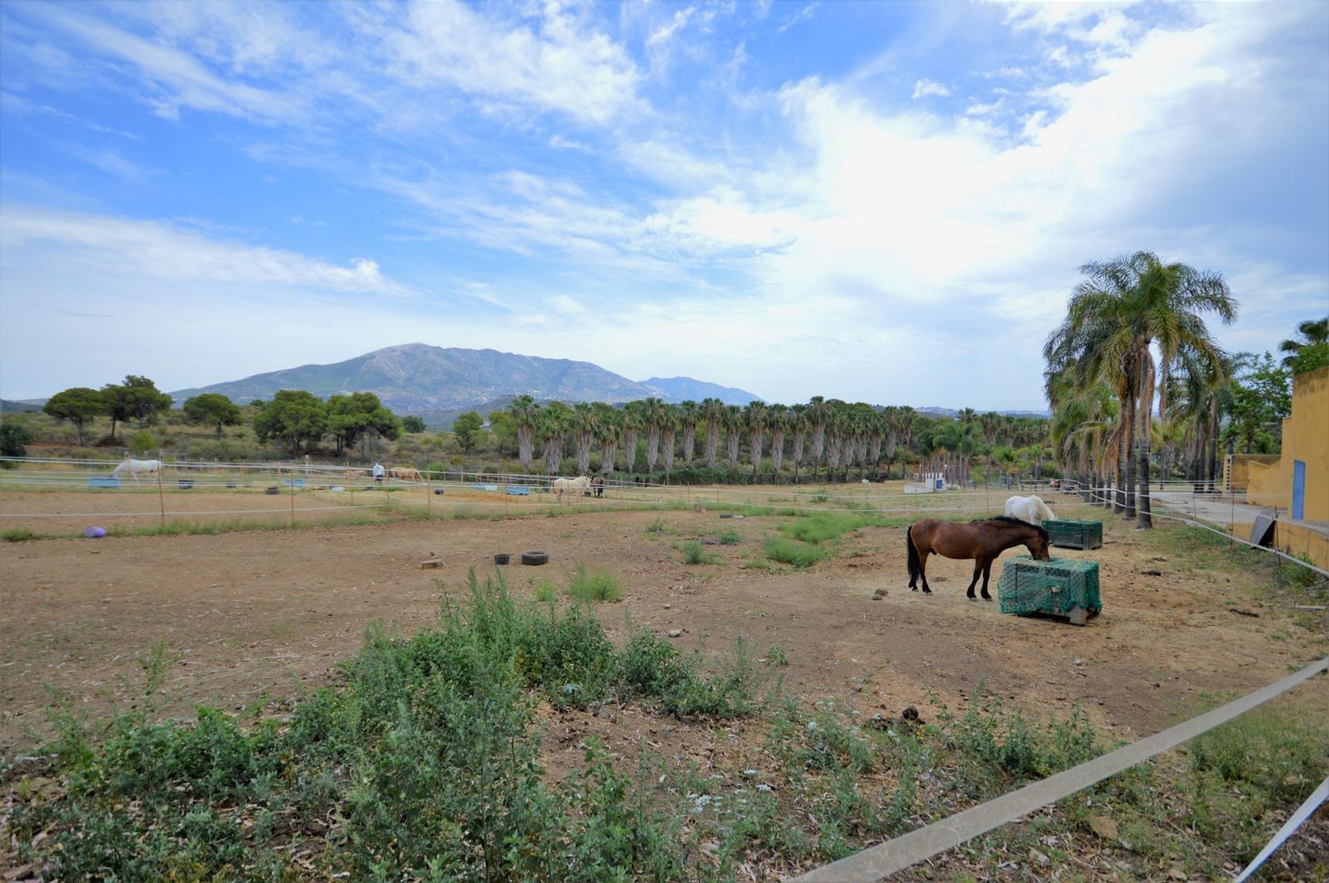 Rumah di Mijas, Andalucía 11850552