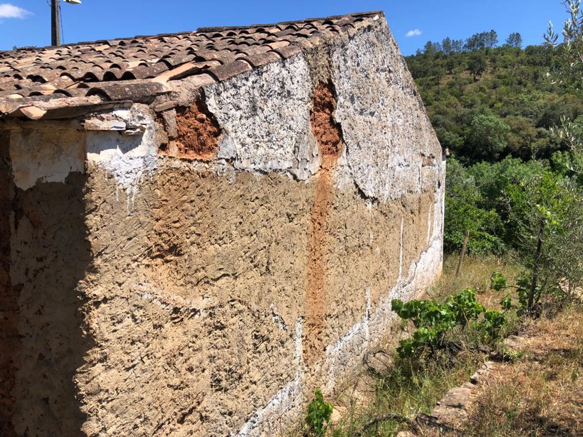 집 에 São Bartolomeu de Messines, Faro 11851224