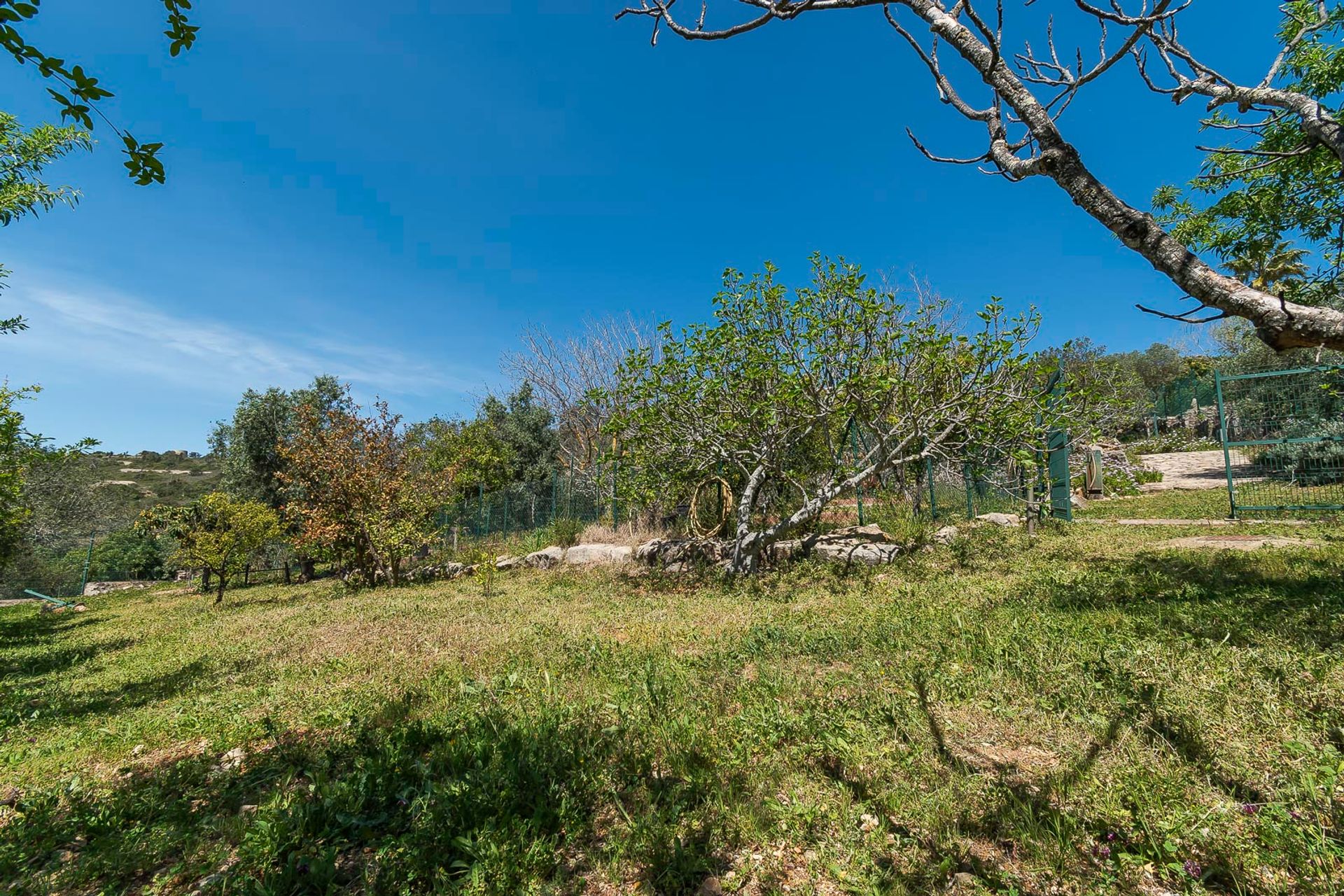 Huis in São Brás de Alportel, Faro District 11851232