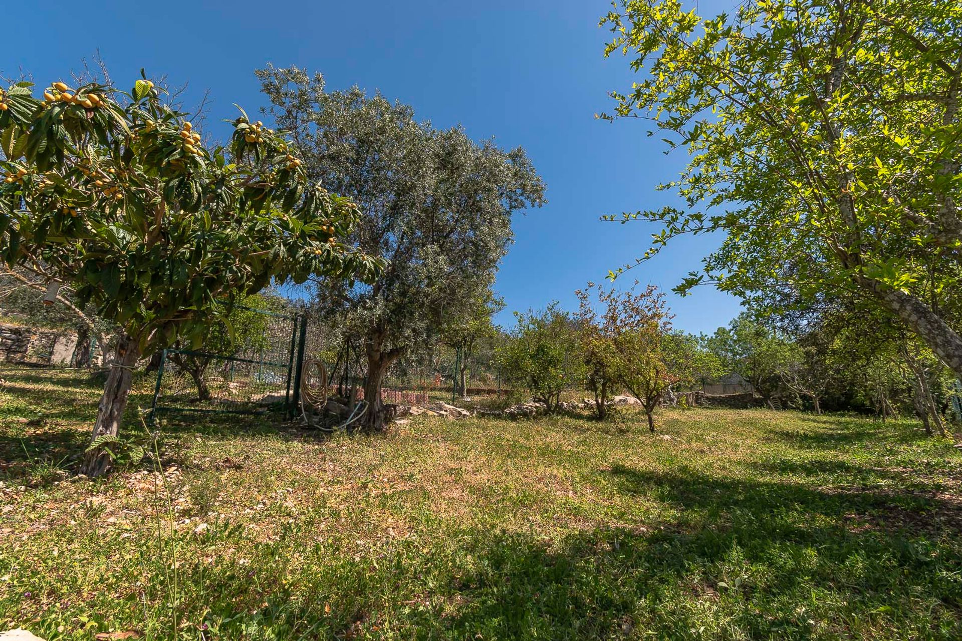 Huis in São Brás de Alportel, Faro District 11851232