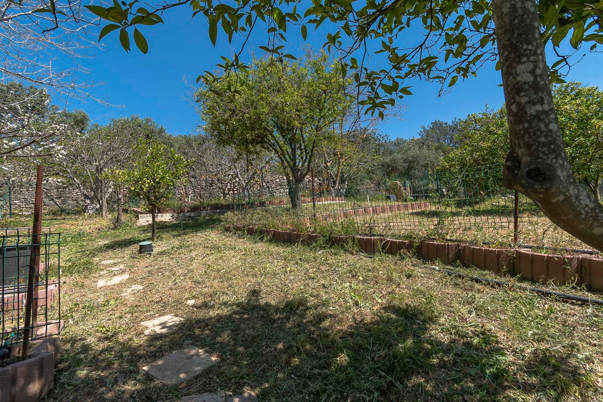 Huis in São Brás de Alportel, Faro District 11851232