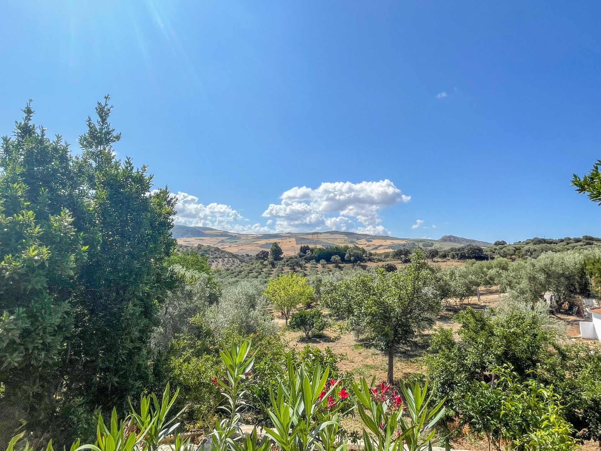 Hus i Antequera, Andalusia 11851304