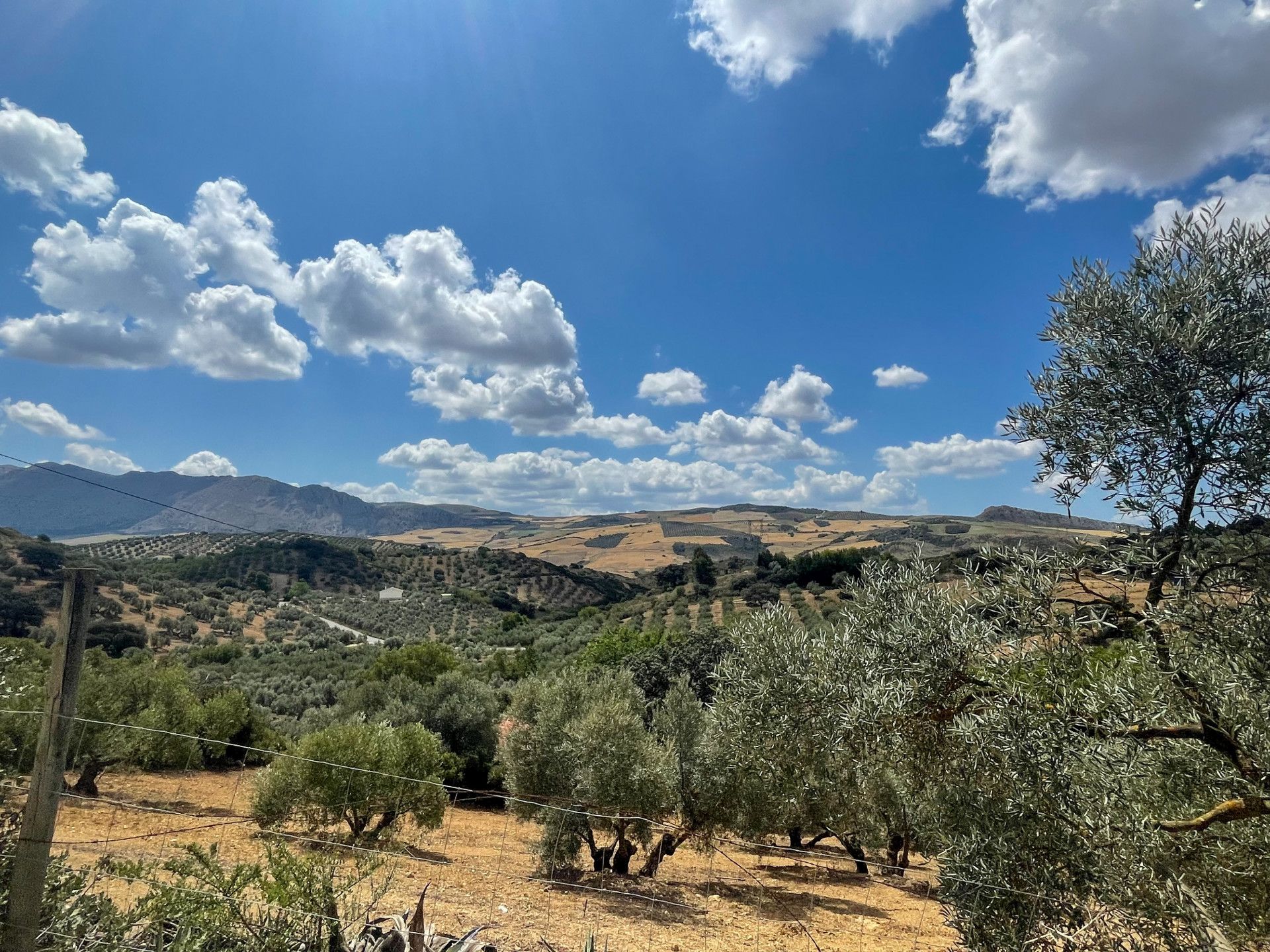 Talo sisään Antequera, Andalusia 11851304