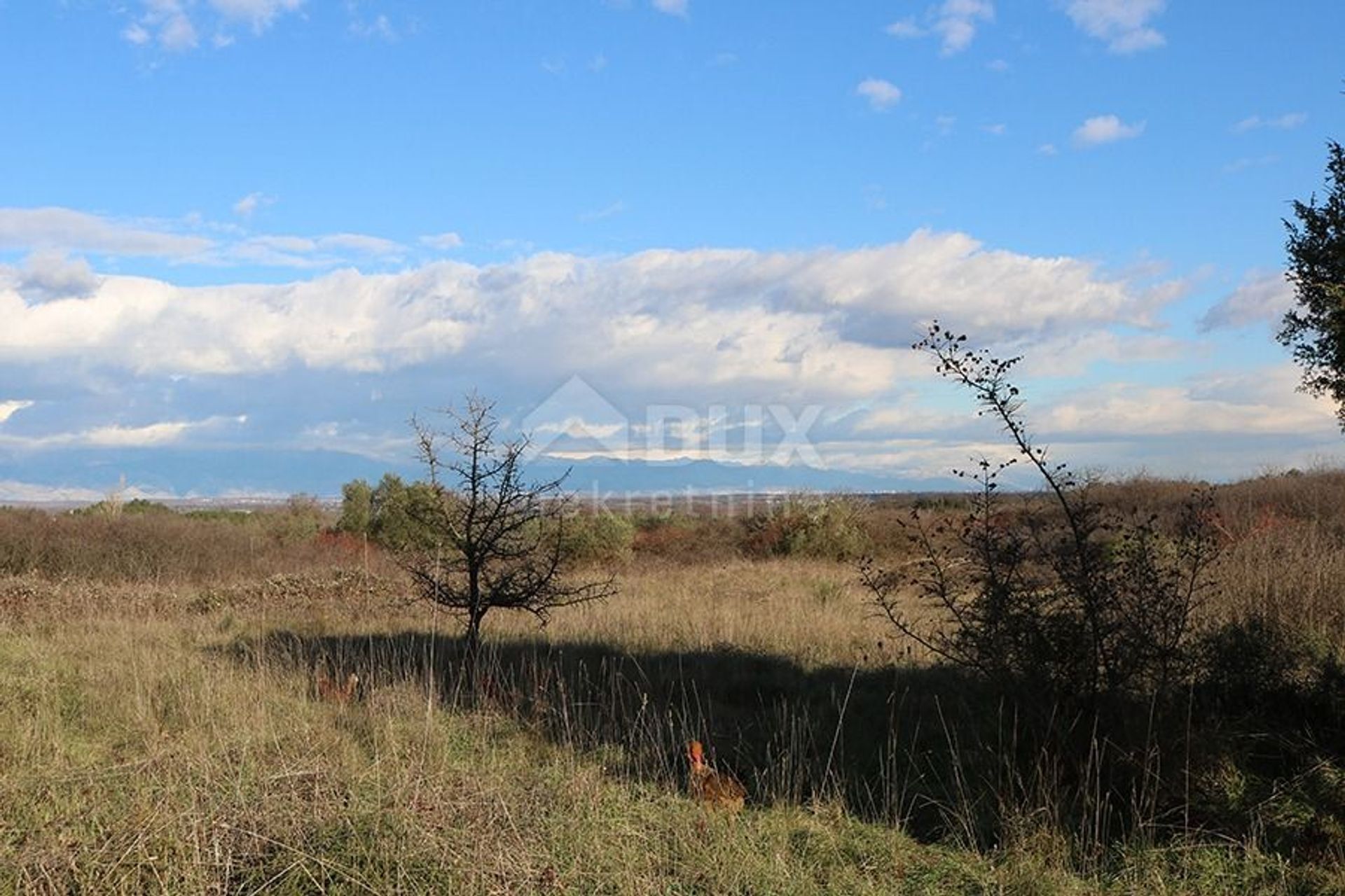 Land im Bokanjac, Zadarska Zupanija 11851329