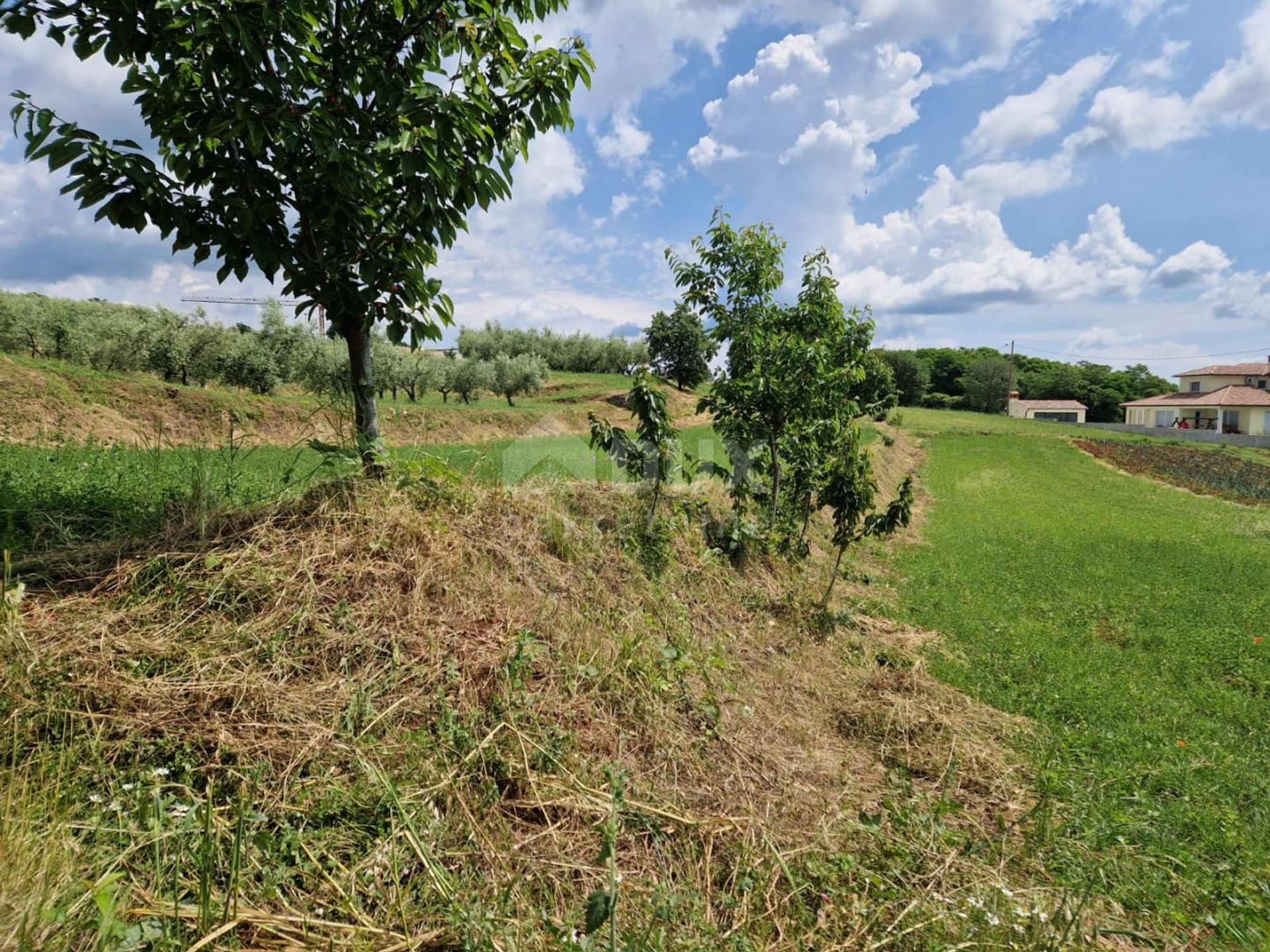 Земельные участки в Barban, Istria County 11854706