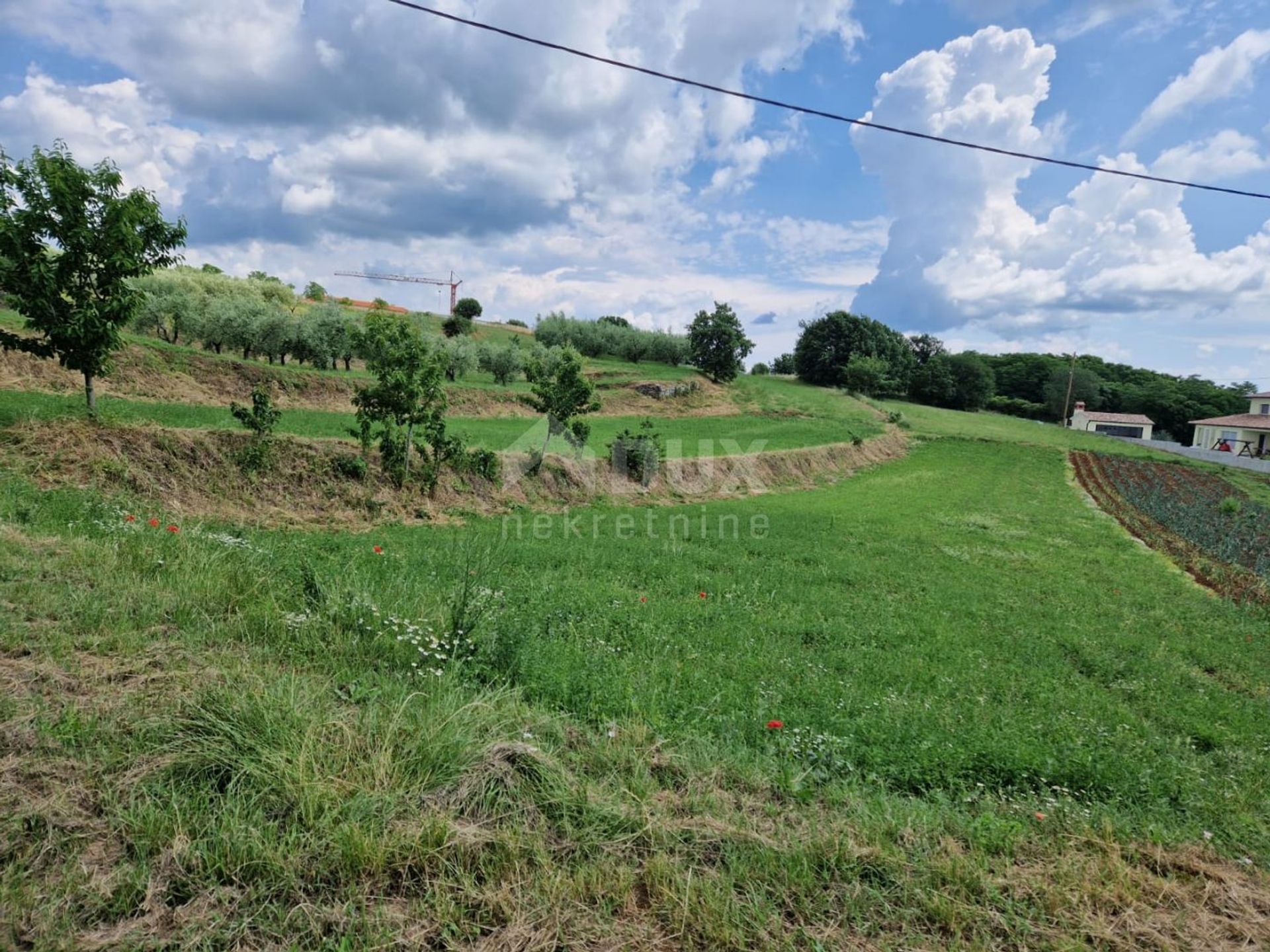 Land in Barban, Istria County 11854706