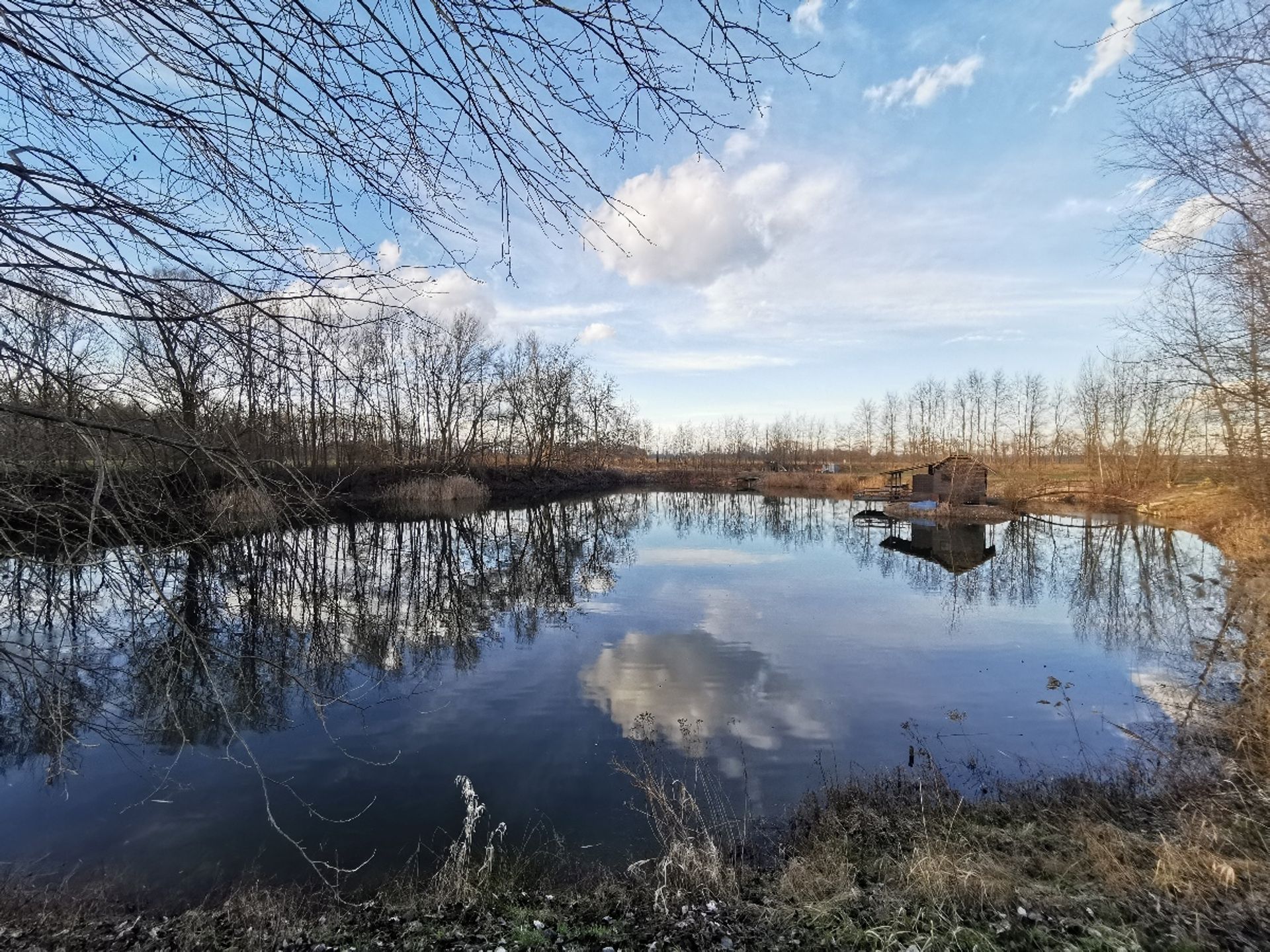 Land in Zagorje, Zagorje ob Savi 11854871