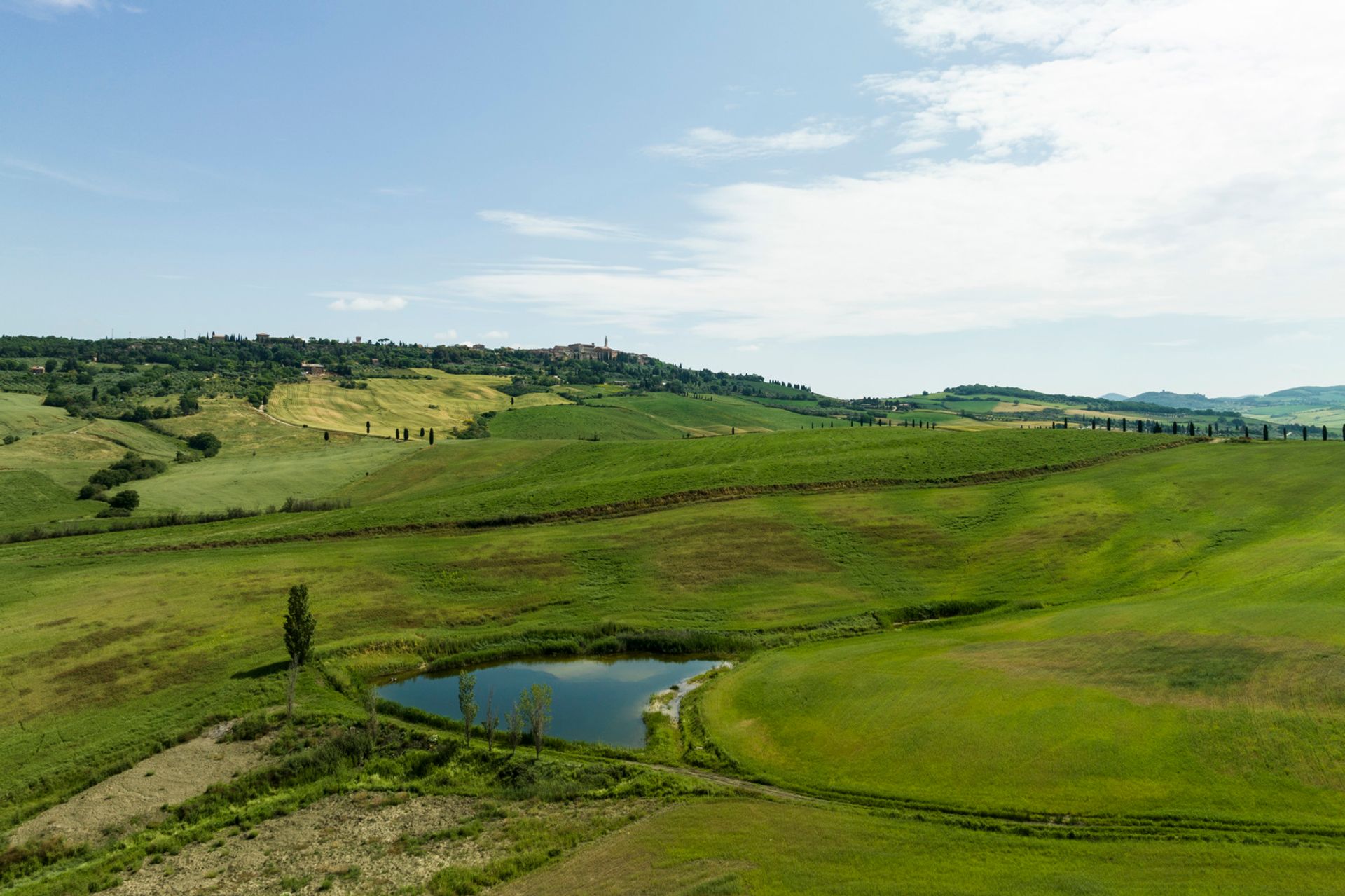 Andere im Pienza, Tuscany 11856015