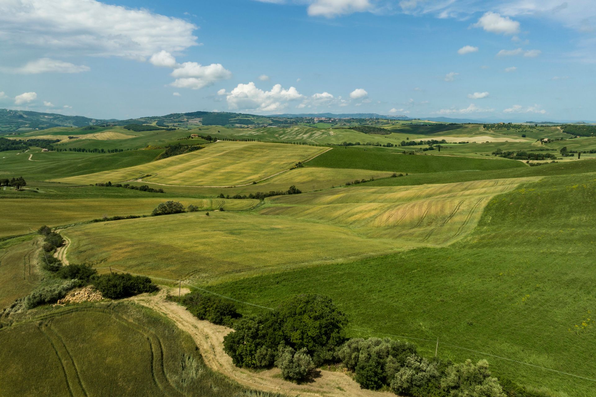 Andere im Pienza, Tuscany 11856015