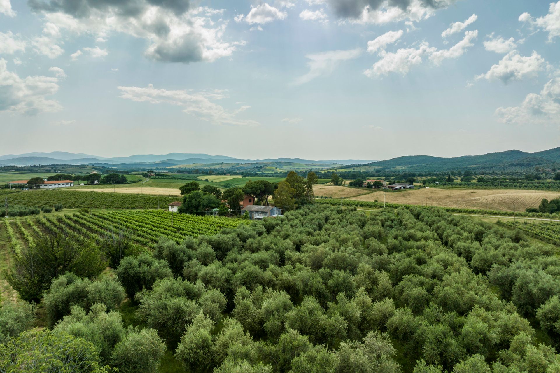 Квартира в Grosseto, Tuscany 11856016