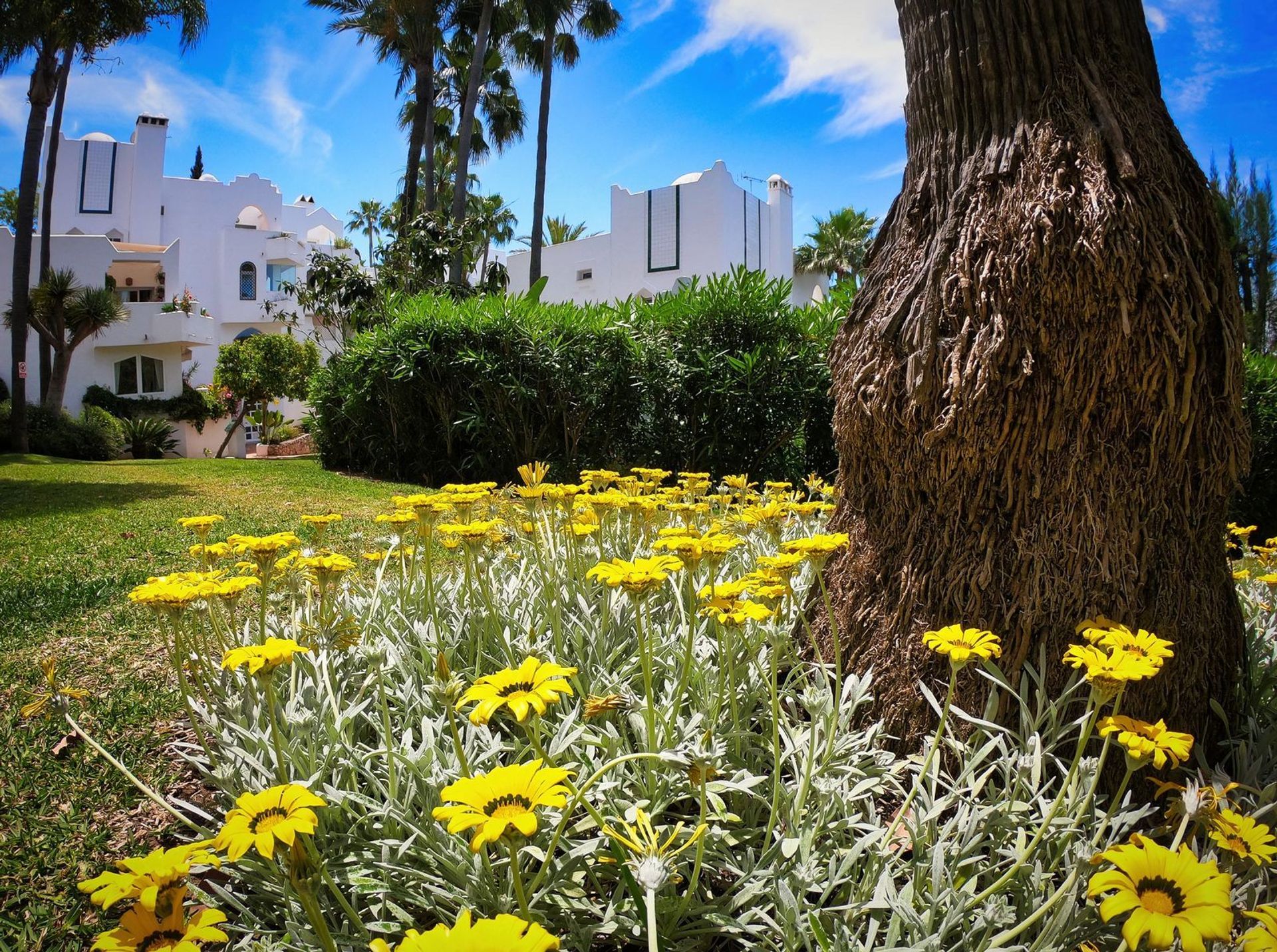 Borettslag i Marbella, Andalucía 11857269