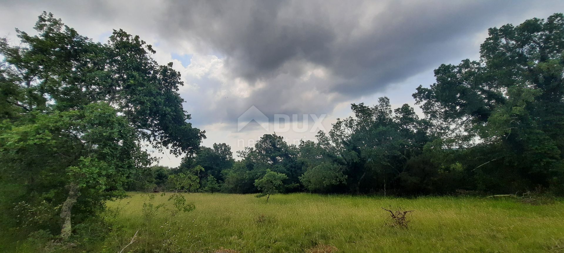 Land im Završje, Grožnjan, Istria County 11857559