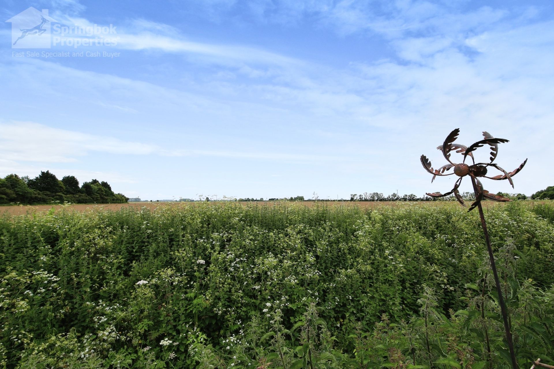 Συγκυριαρχία σε Holbeach, England 11857879