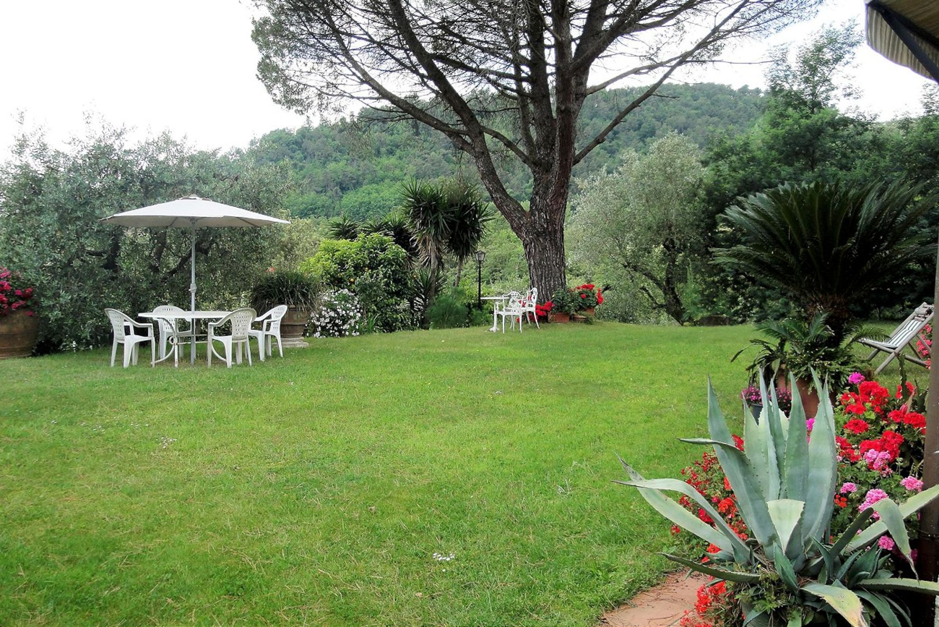 rumah dalam Montevettolini, Tuscany 11858336