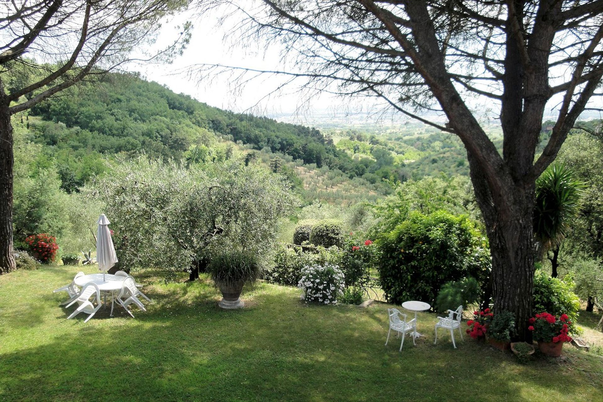 rumah dalam Montevettolini, Tuscany 11858336