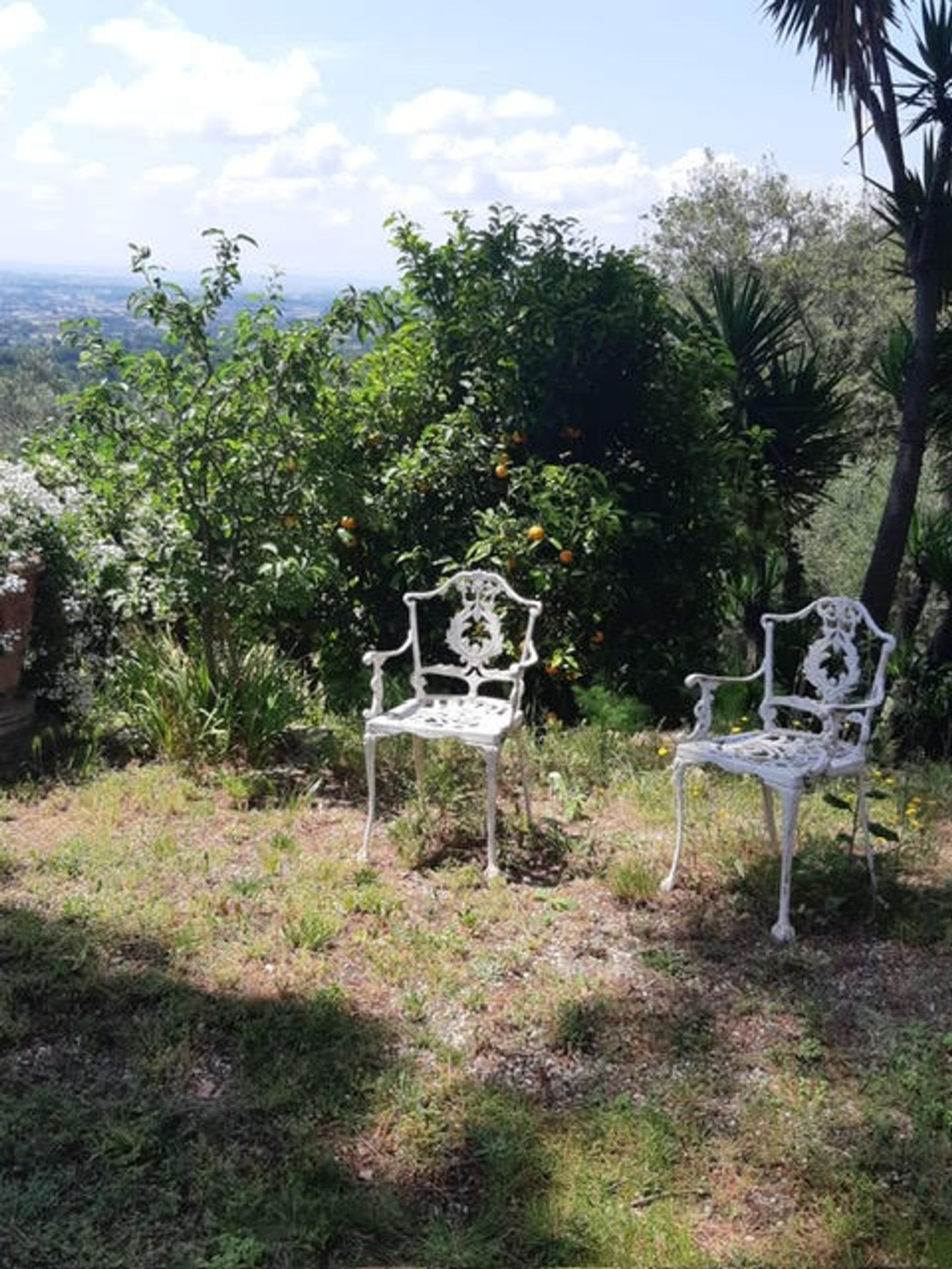 rumah dalam Montevettolini, Tuscany 11858336