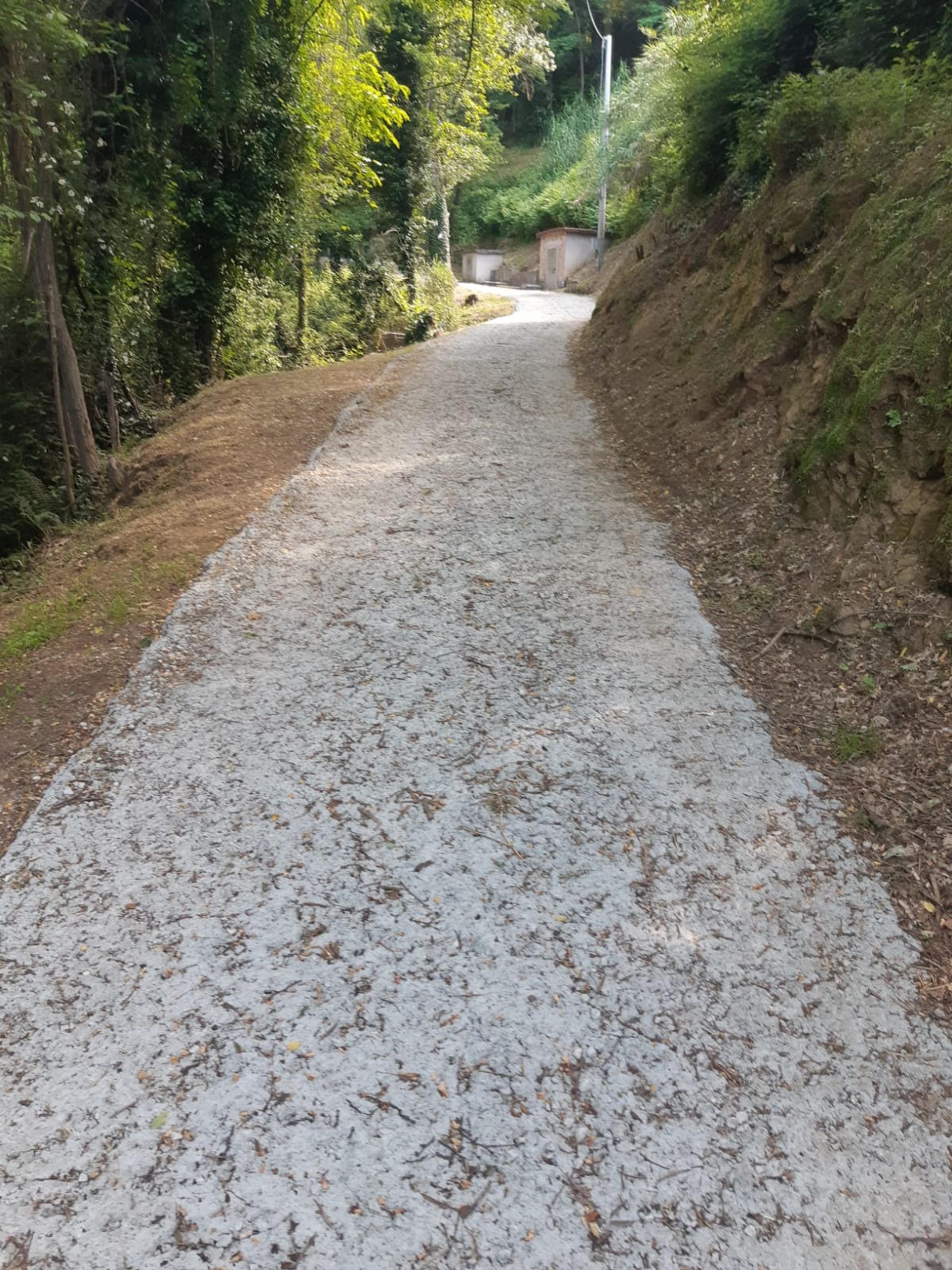 loger dans Montevettolini, Tuscany 11858336