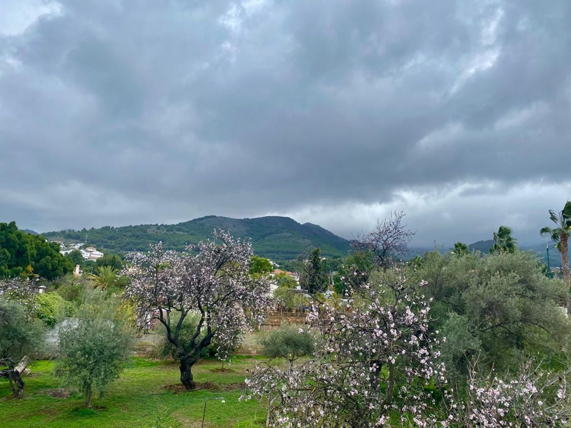 Будинок в Alhaurín de la Torre, Andalucía 11859362