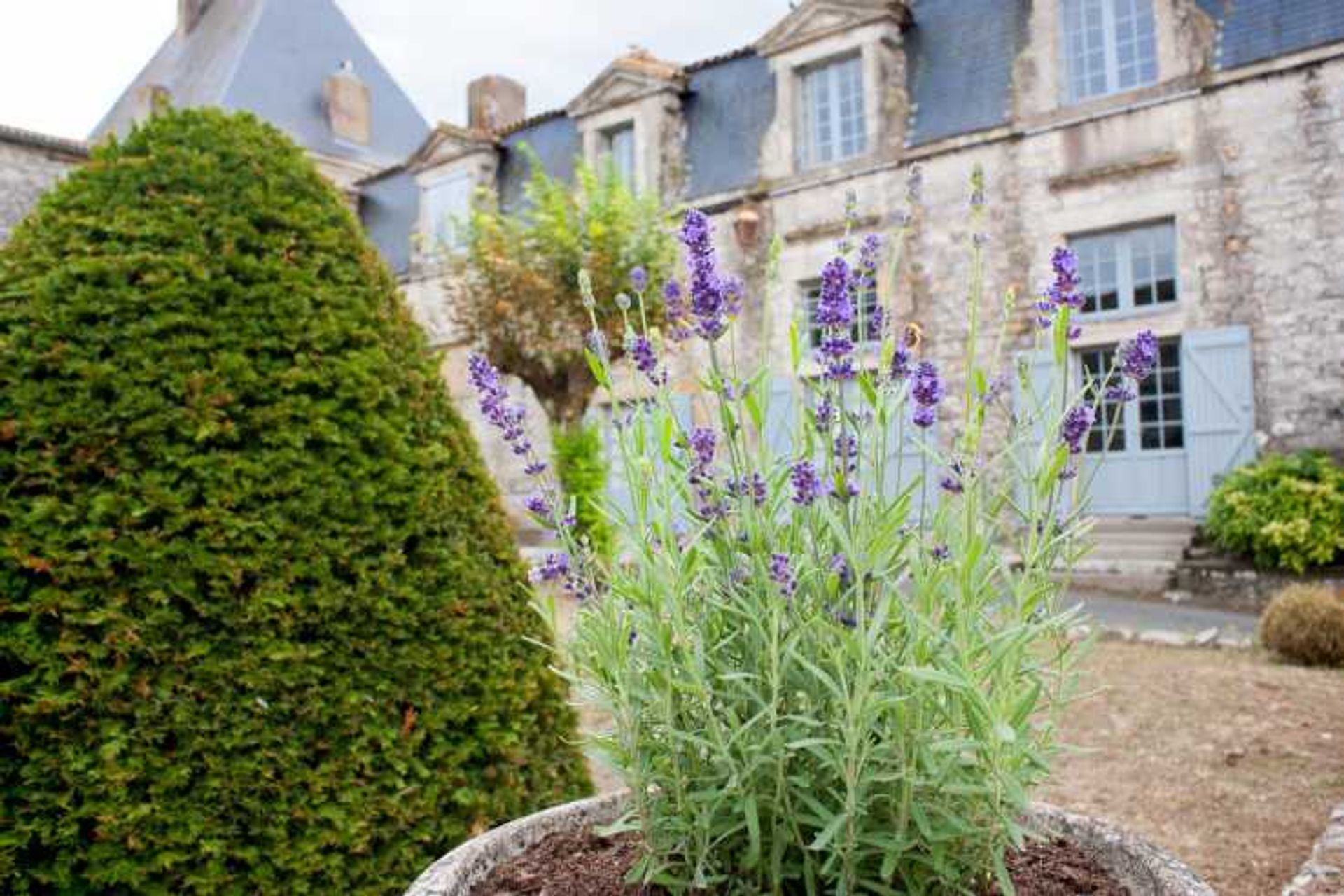 Casa nel Saussignac, Nouvelle-Aquitaine 11861455