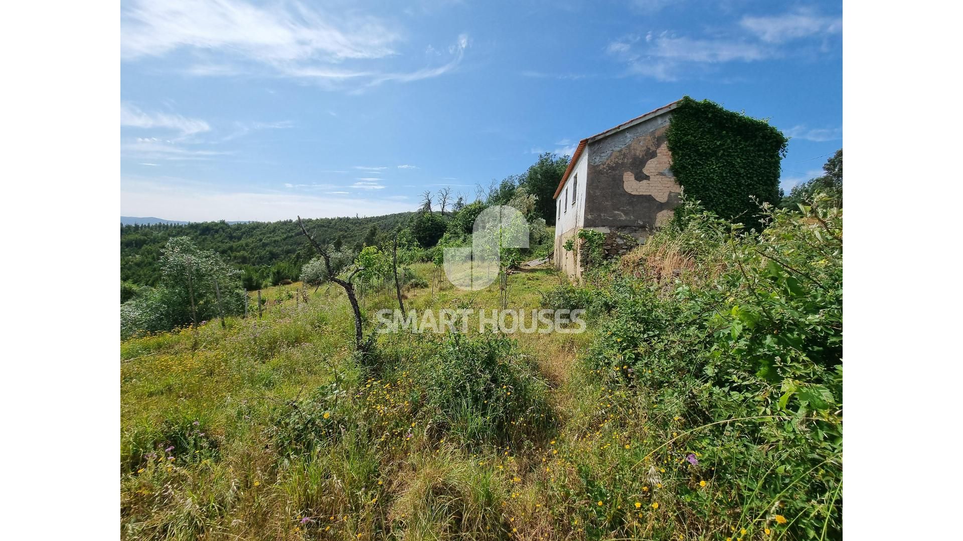 Huis in Rossio en Sul do Tejo, Santarém 11861467