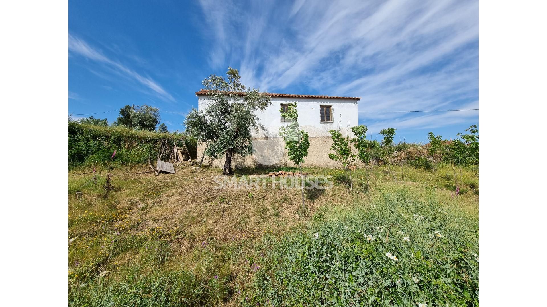 Huis in Rossio en Sul do Tejo, Santarém 11861467