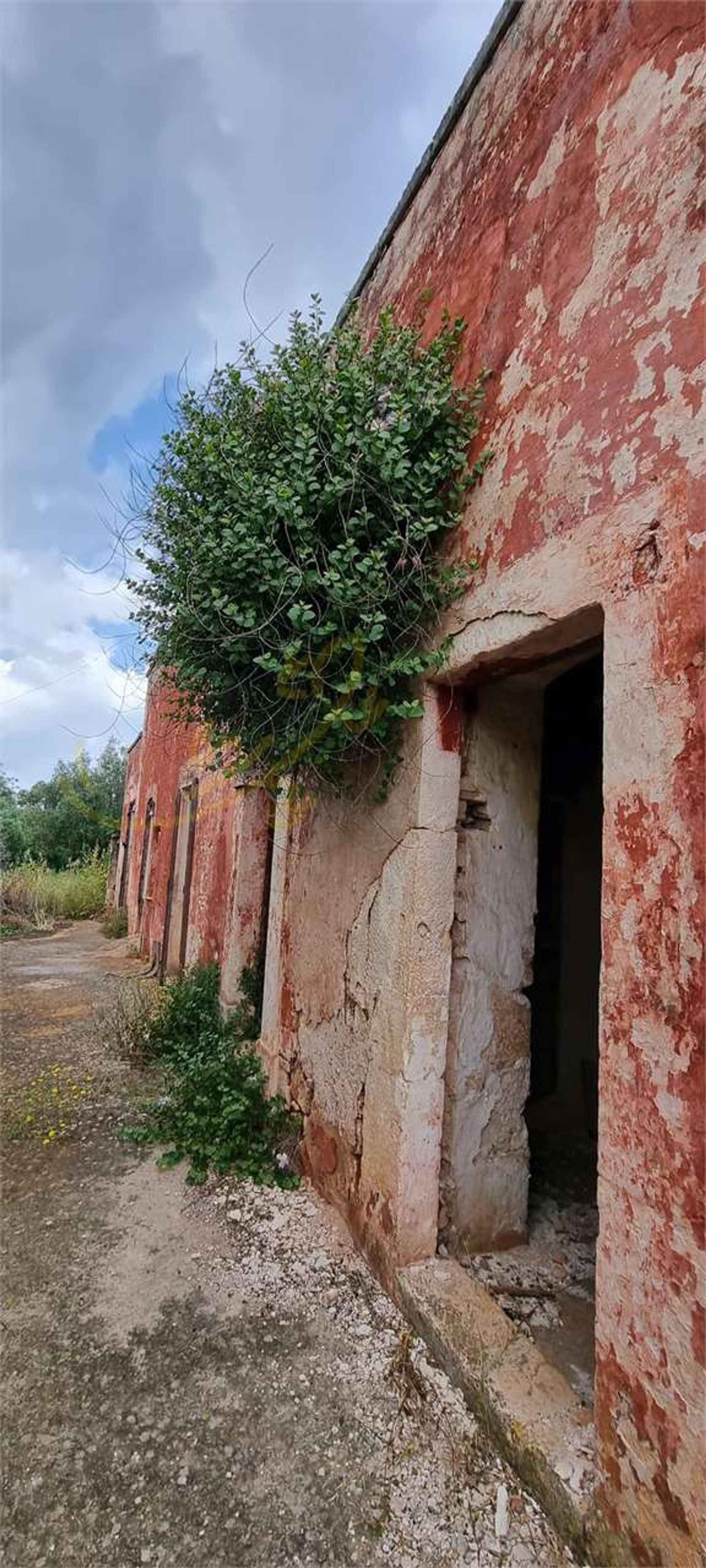 Land in Polignano a Mare, Puglia 11862047