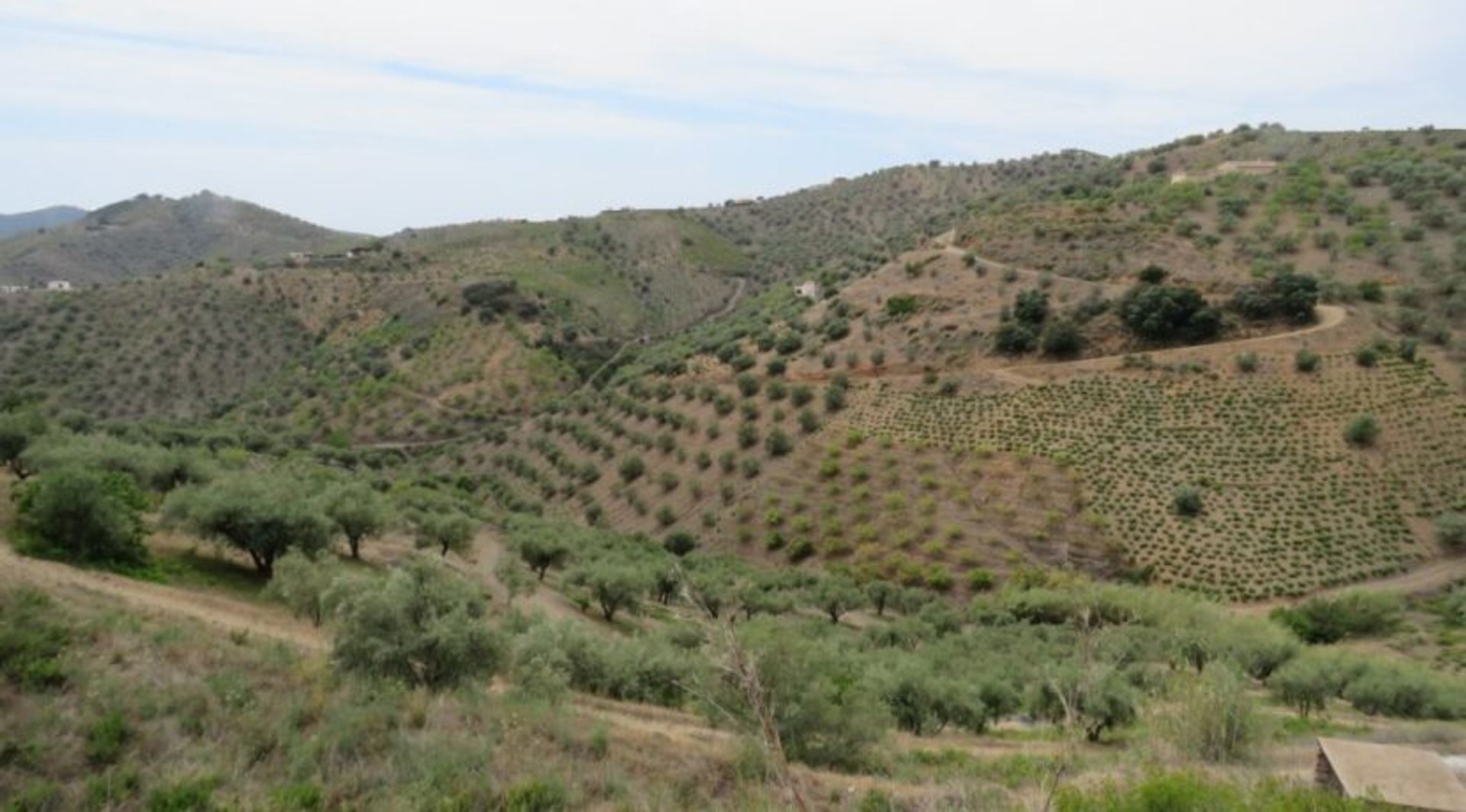 rumah dalam Canillas de Albaida, Andalusia 11862073