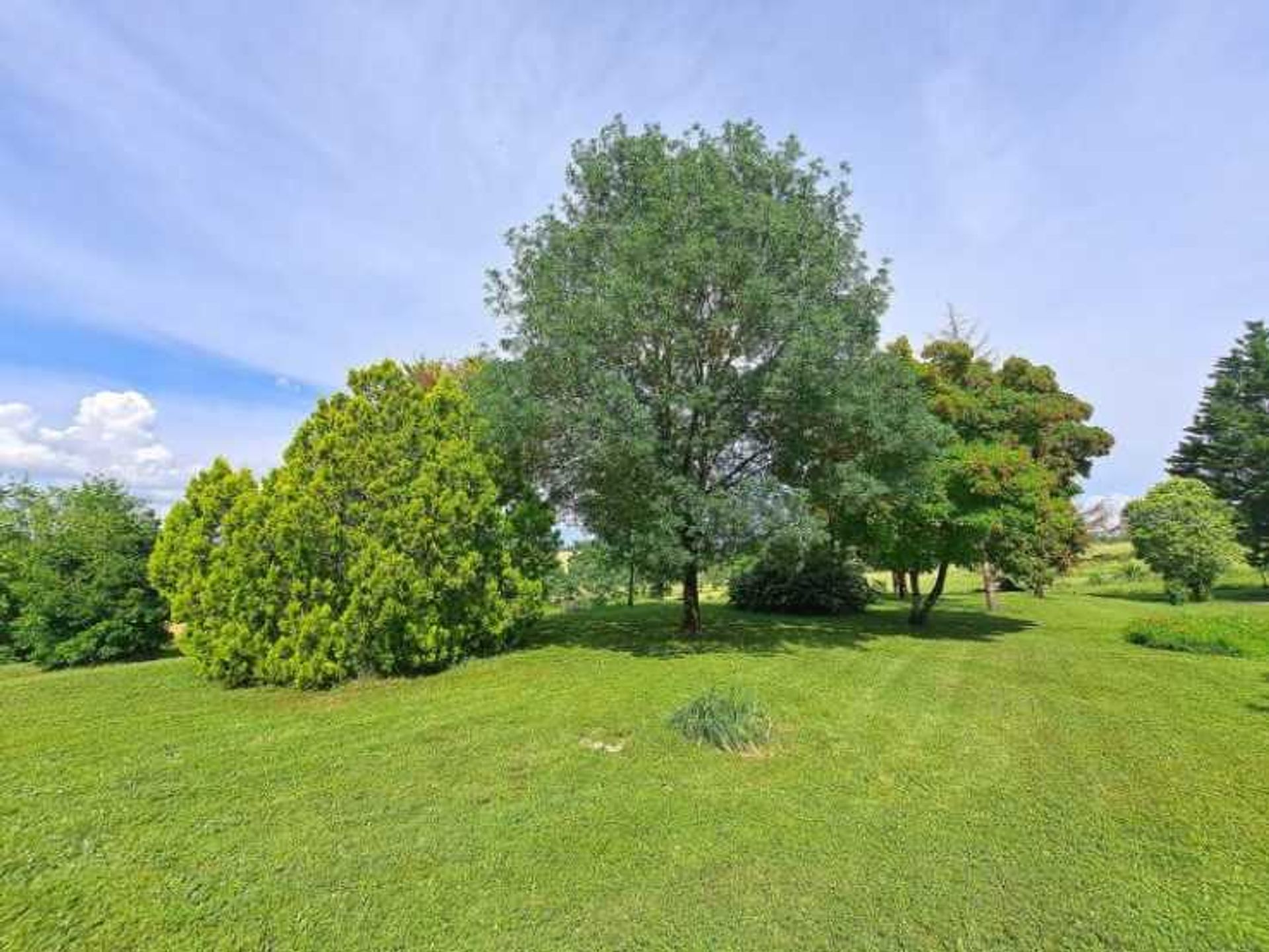 Casa nel Condom, Occitanie 11863127