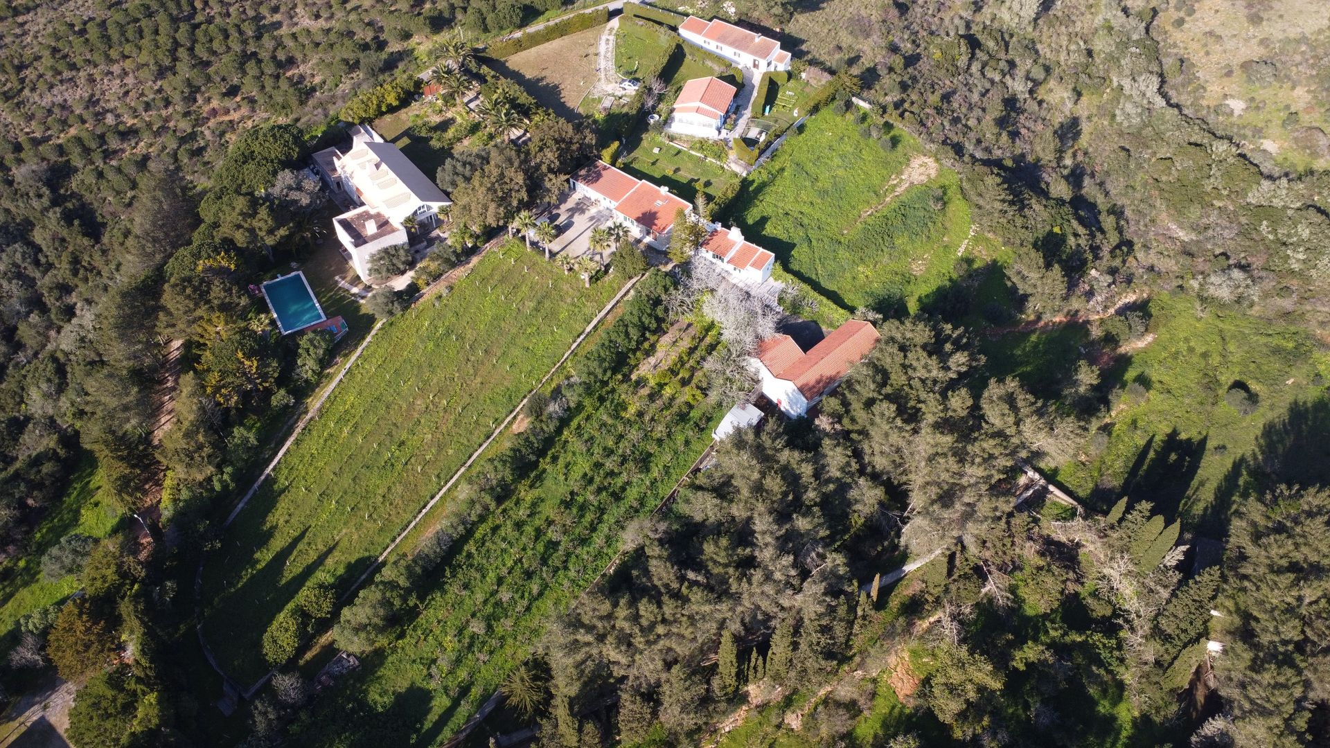 Casa nel Ericeira, Lisboa 11863468