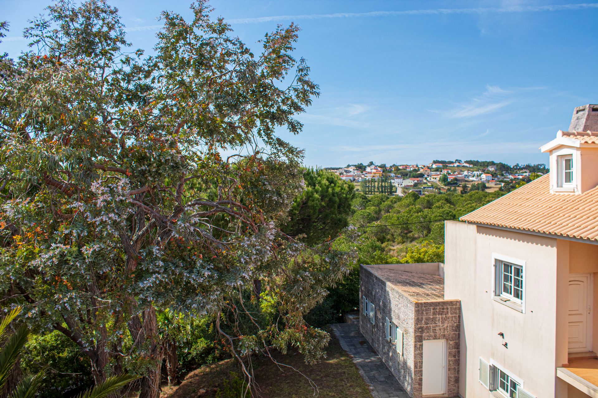 rumah dalam Ericeira, Lisbon 11863468