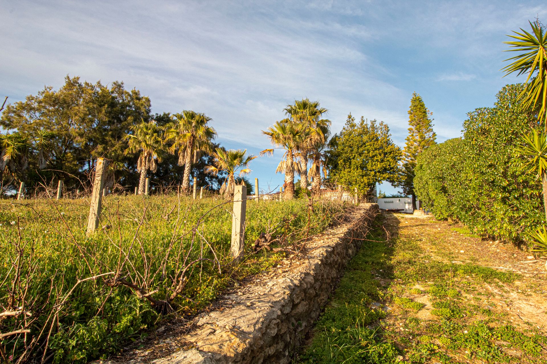 Haus im Ericeira, Lisbon 11863469