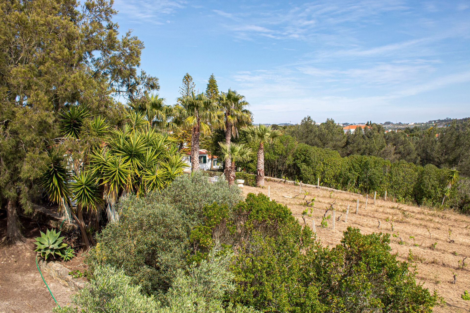 Haus im Ericeira, Lisbon 11863469