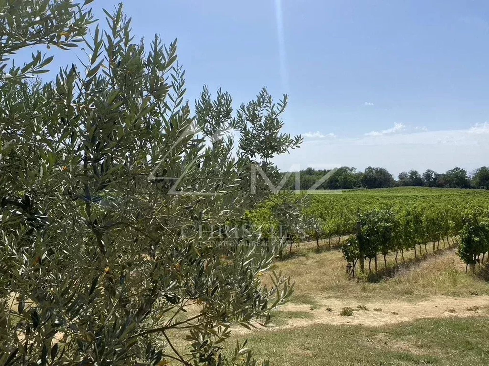 Commercial dans Aix-en-Provence, Bouches-du-Rhône 11864134