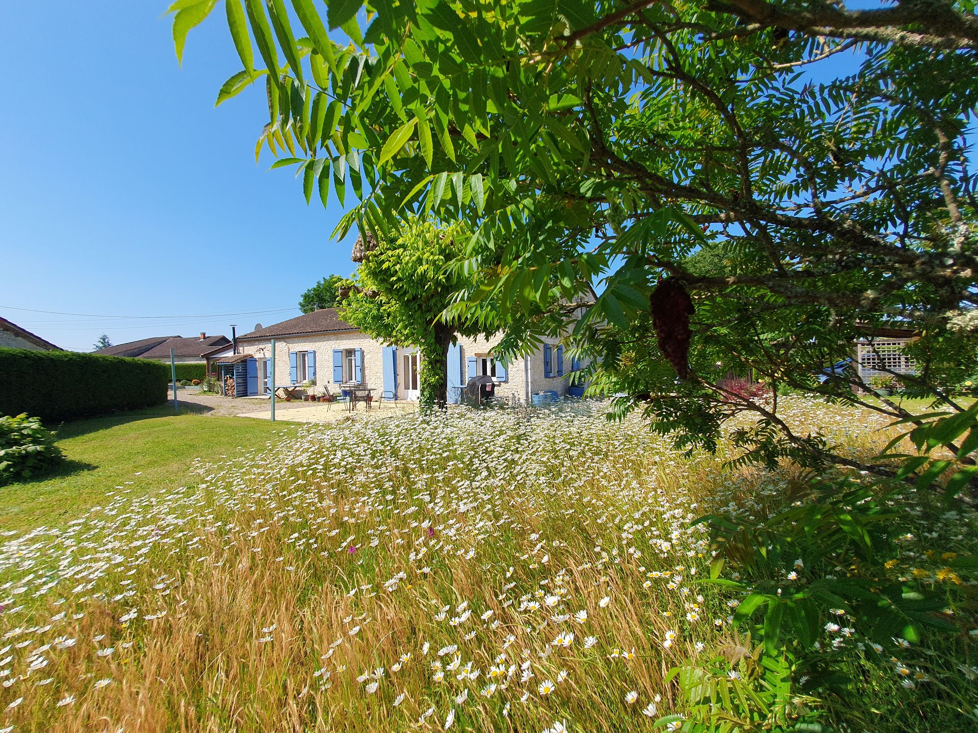 rumah dalam Auriac-sur-Dropt, Nouvelle-Aquitaine 11864167