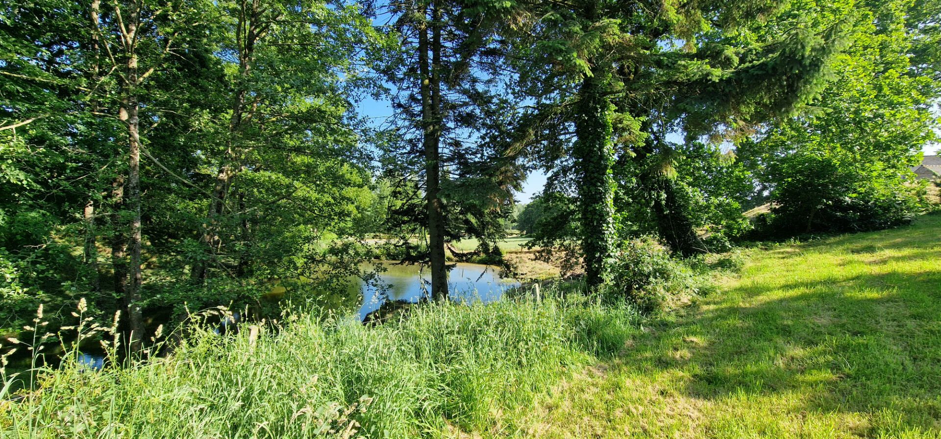 rumah dalam Ereac, Bretagne 11864194