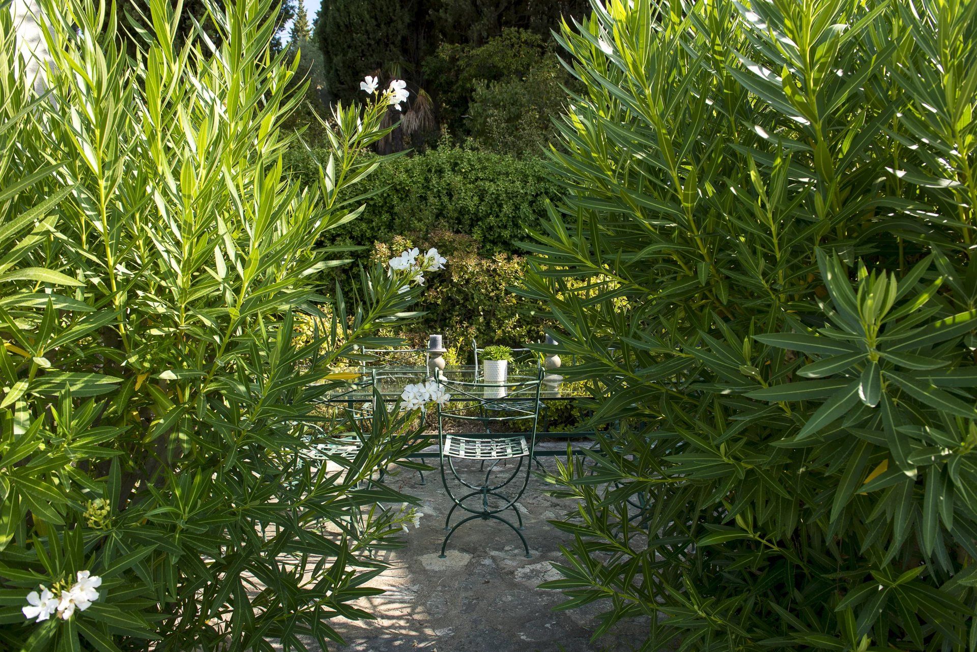 loger dans Grasse, Provence-Alpes-Côte d'Azur 11864241