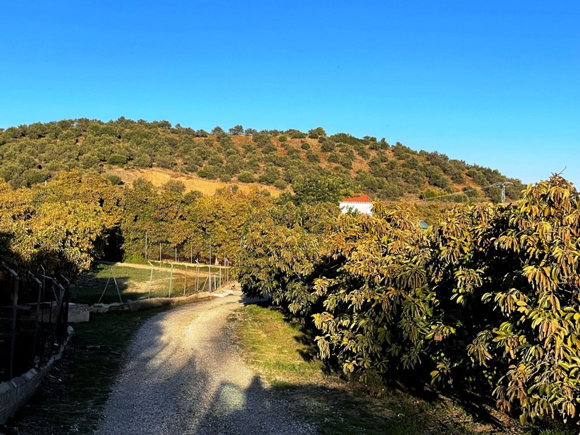 Rumah di Mijas, Andalucía 11865017