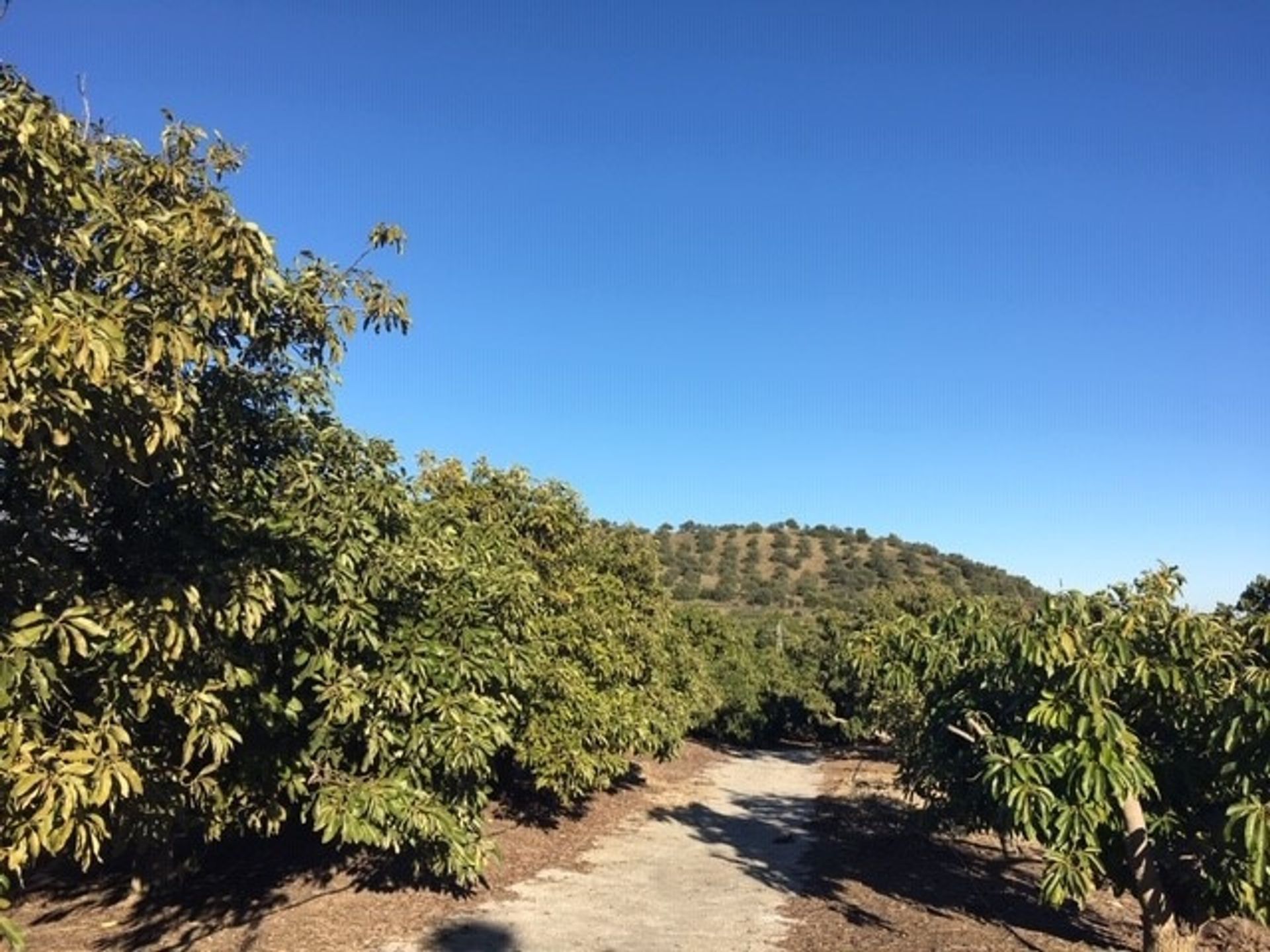 Rumah di Mijas, Andalucía 11865017