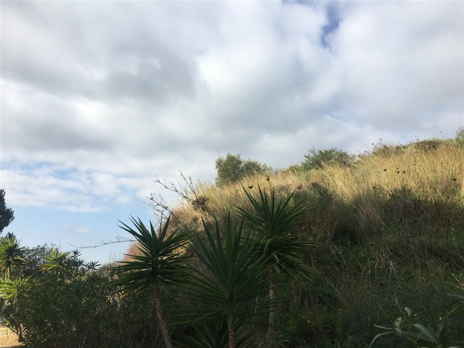 Maa sisään Mijas, Andalusia 11865269