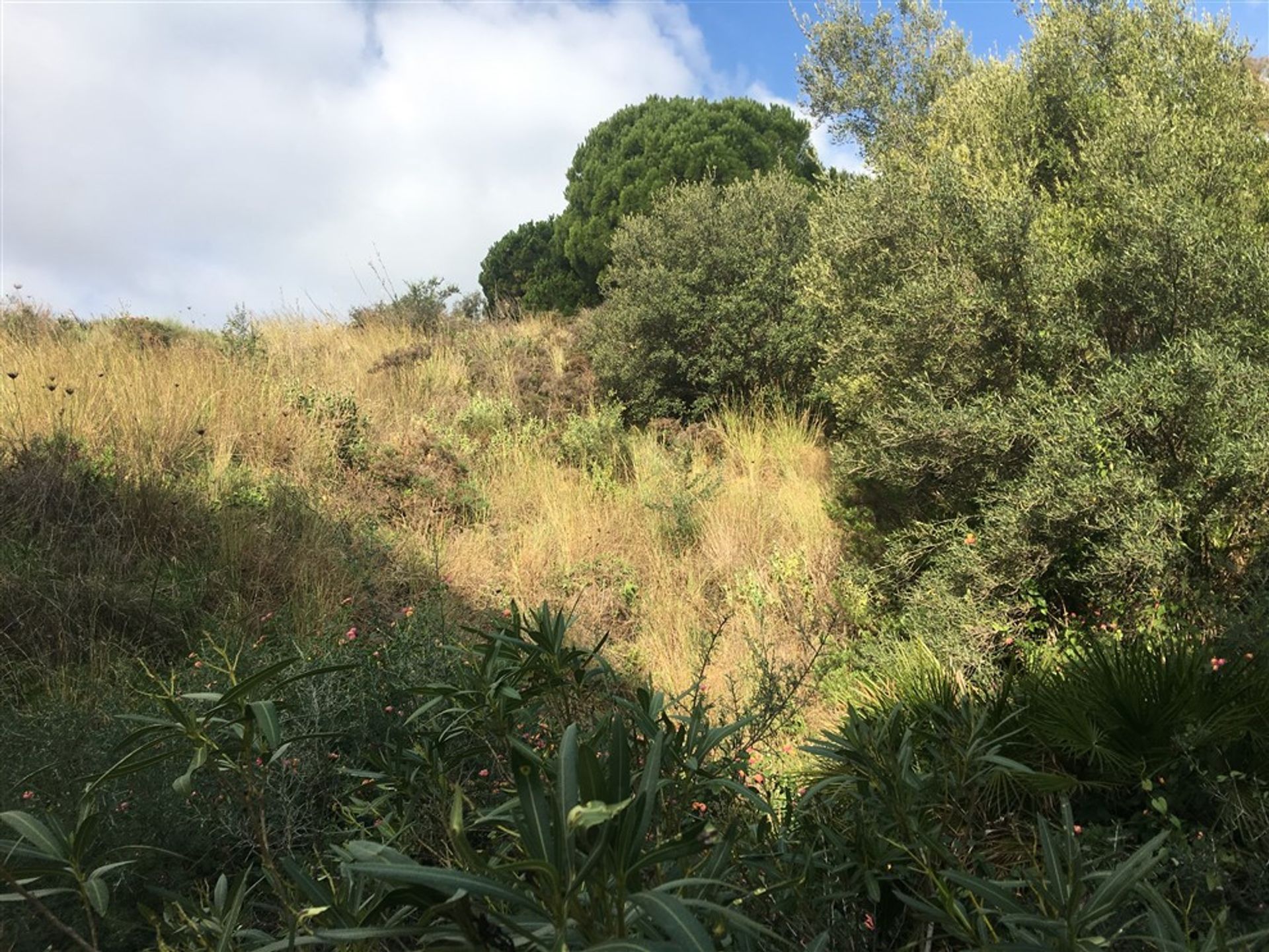 Maa sisään Mijas, Andalusia 11865269