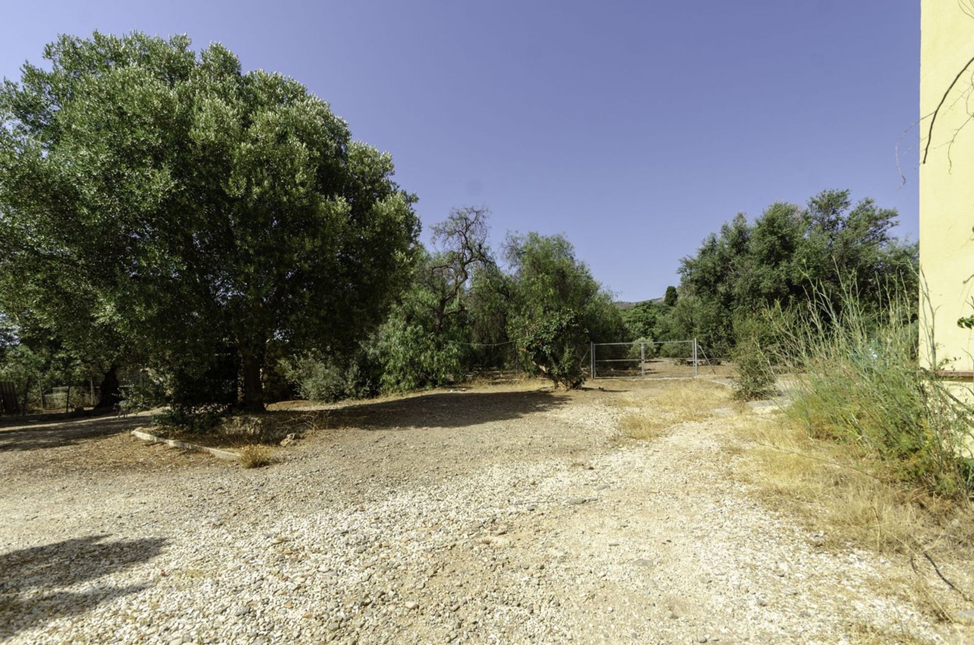 土地 在 Churriana, Andalusia 11865270