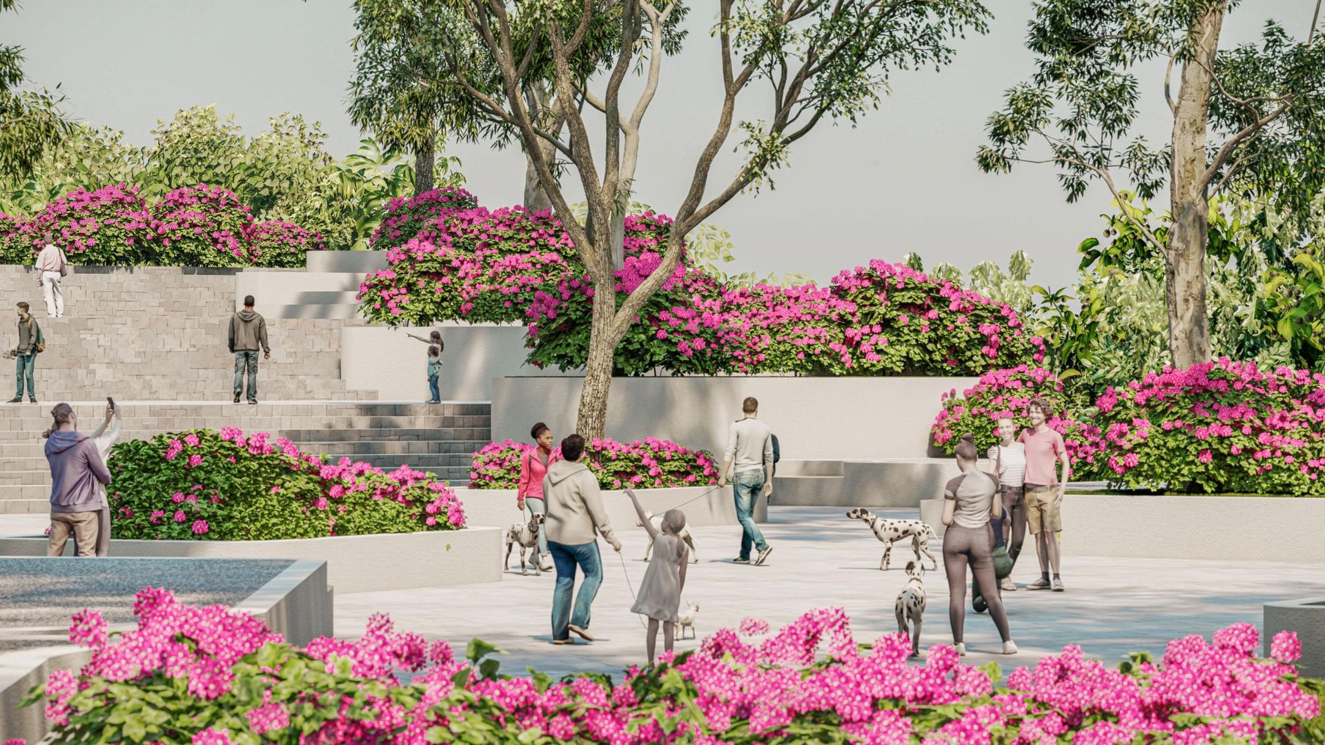 عمارات في كابو سان لوكاس, Boulevard Paseo de la Marina 11865629