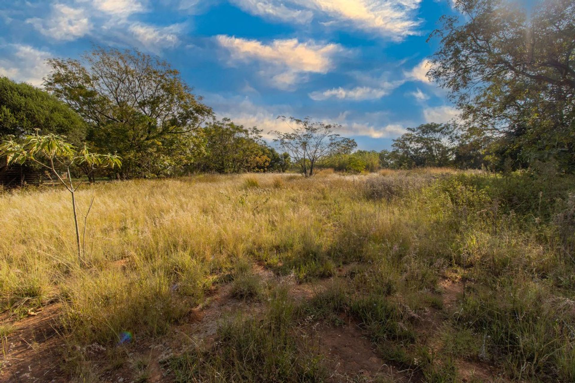 Maa sisään Midrand, Gauteng 11865643