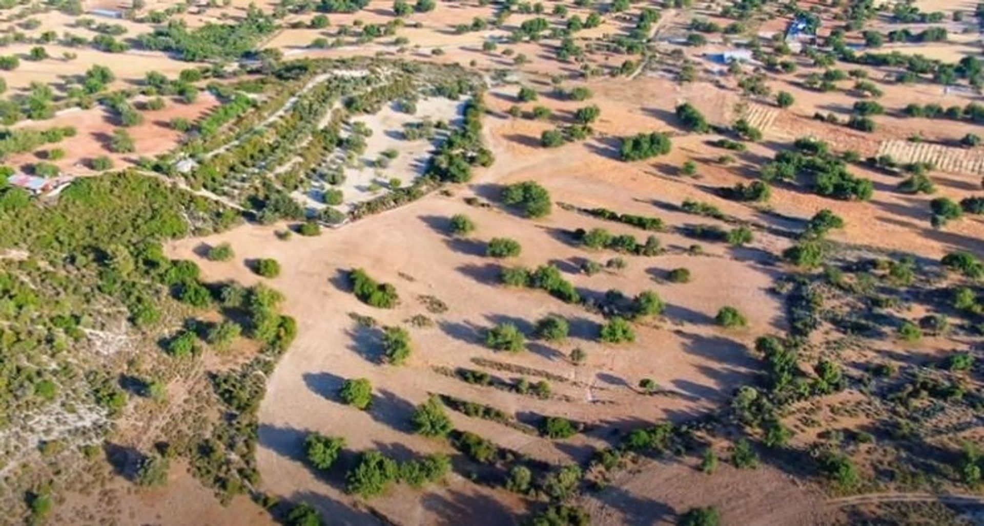 Tierra en pampula, lemesos 11866019