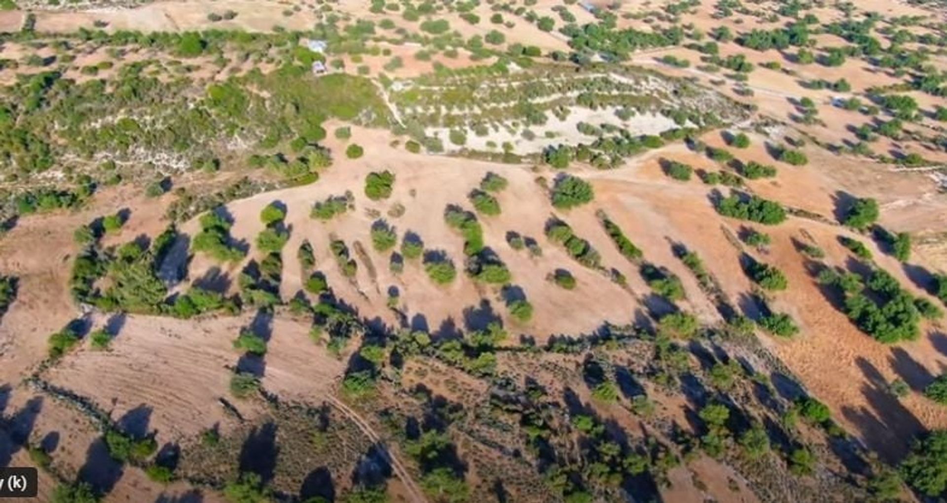 Tierra en pampula, lemesos 11866019