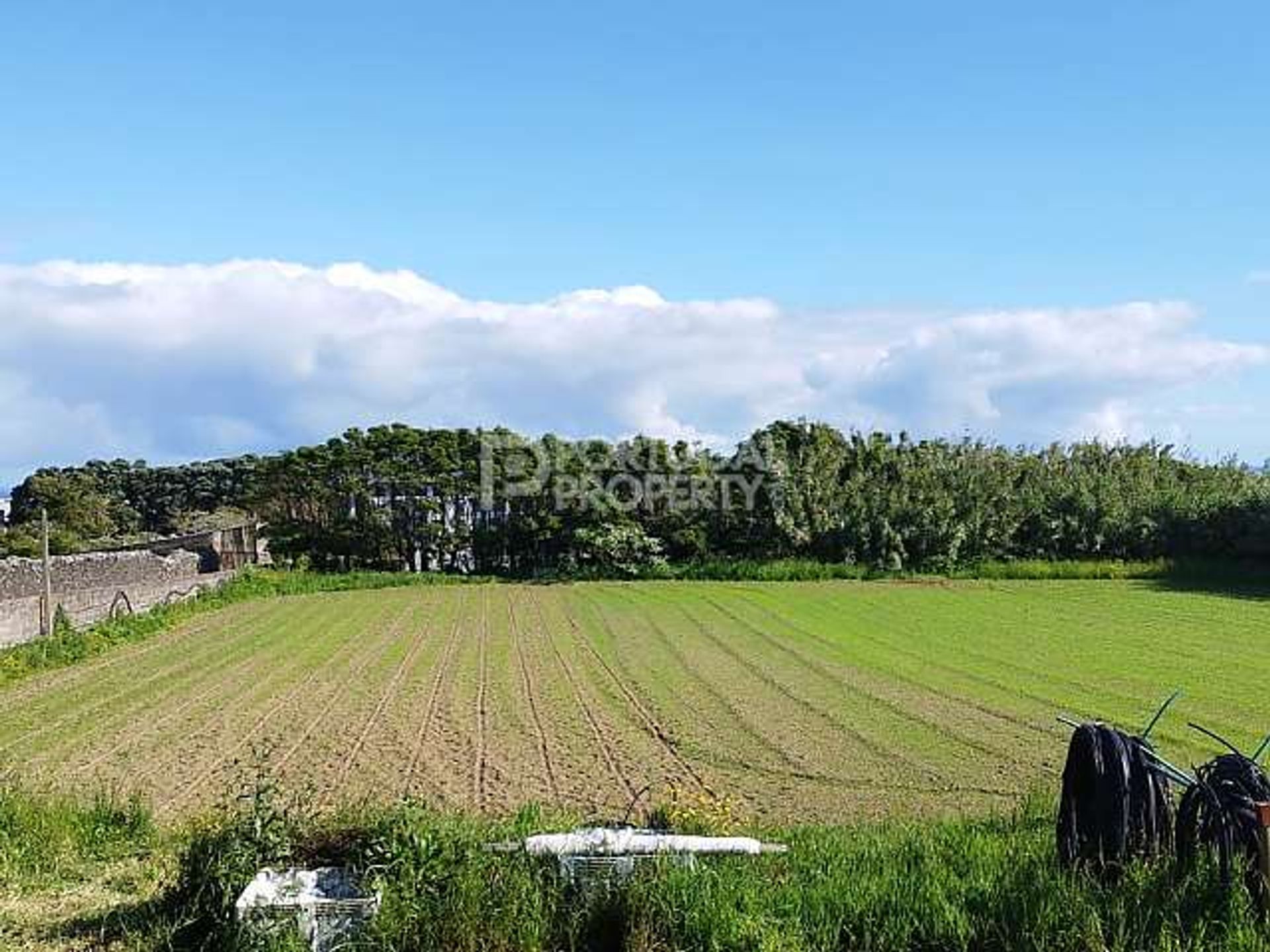 Tierra en Punta Delgada, Azores 11866458